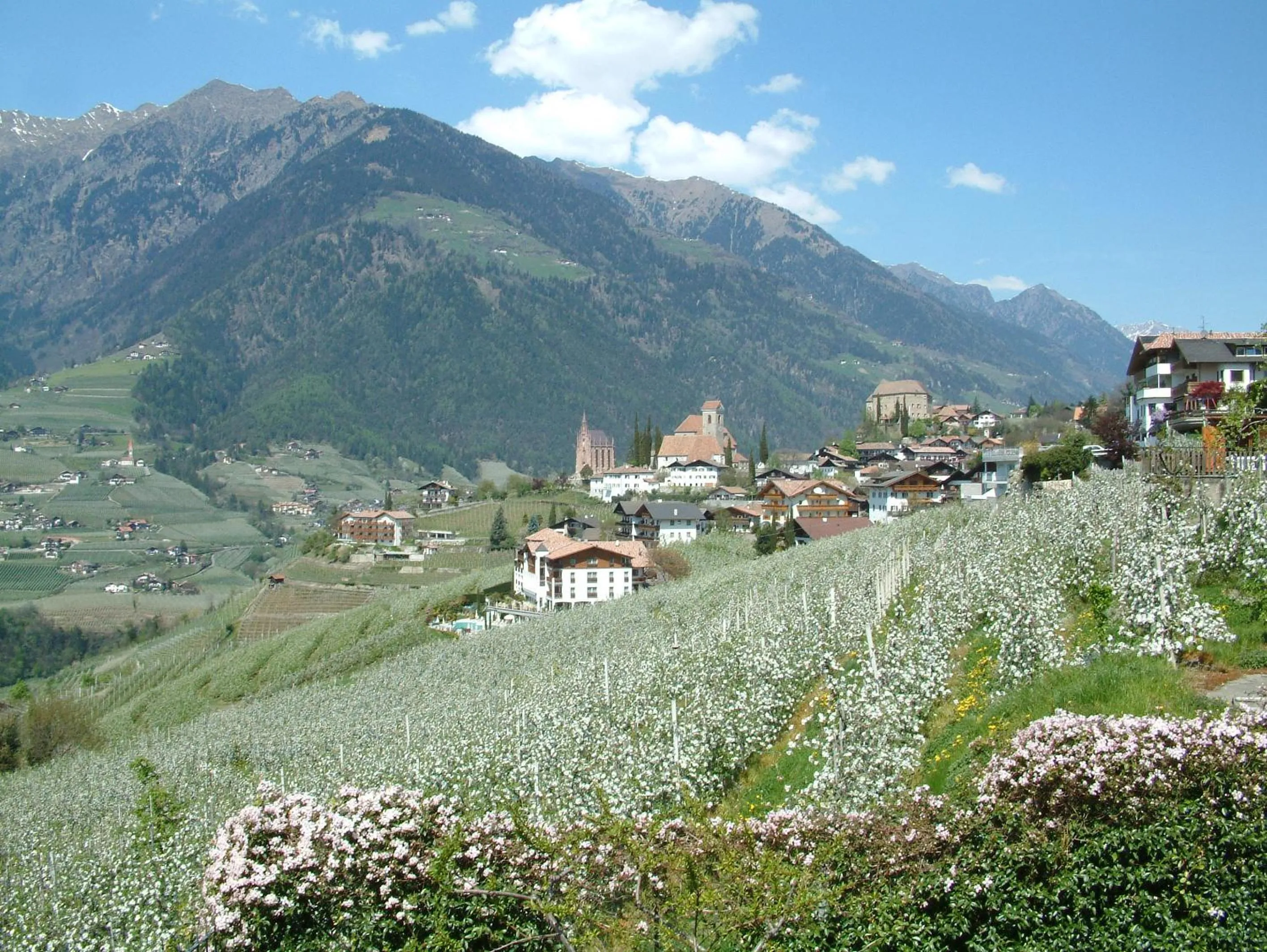 Balcony/Terrace in Appartment Maria