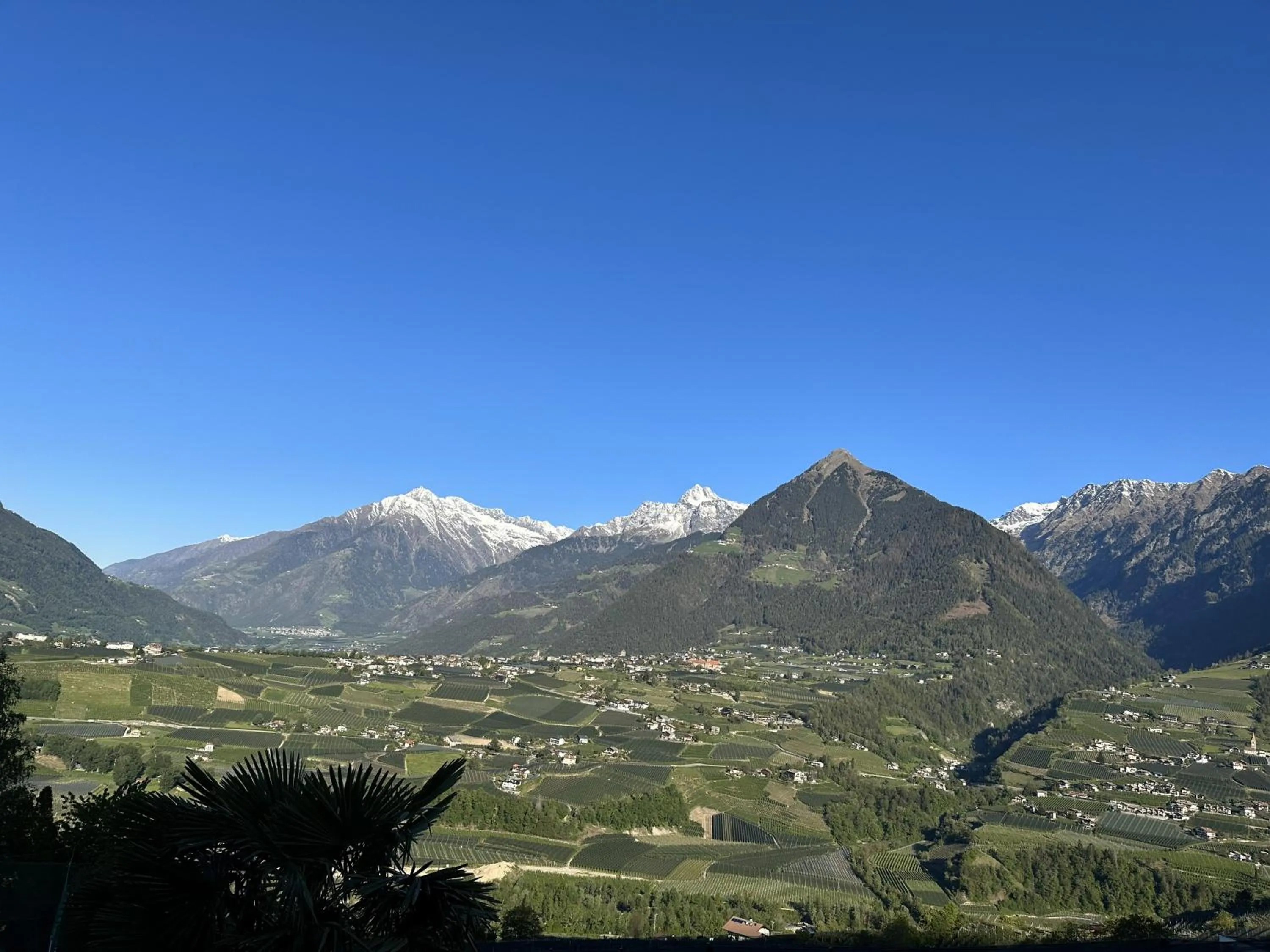 View (from property/room) in Appartment Maria