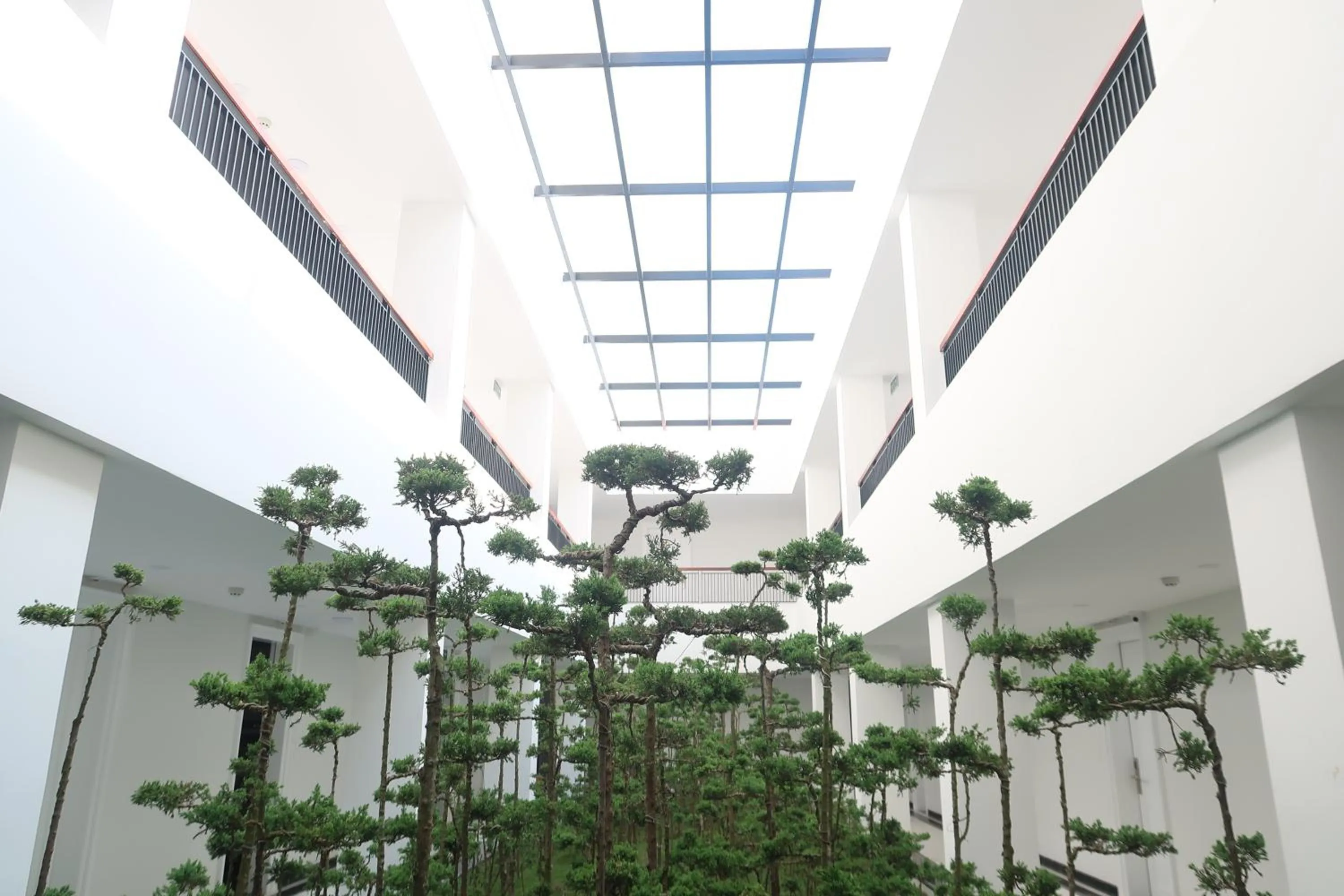 Balcony/Terrace in Garco Dragon Hotel 2