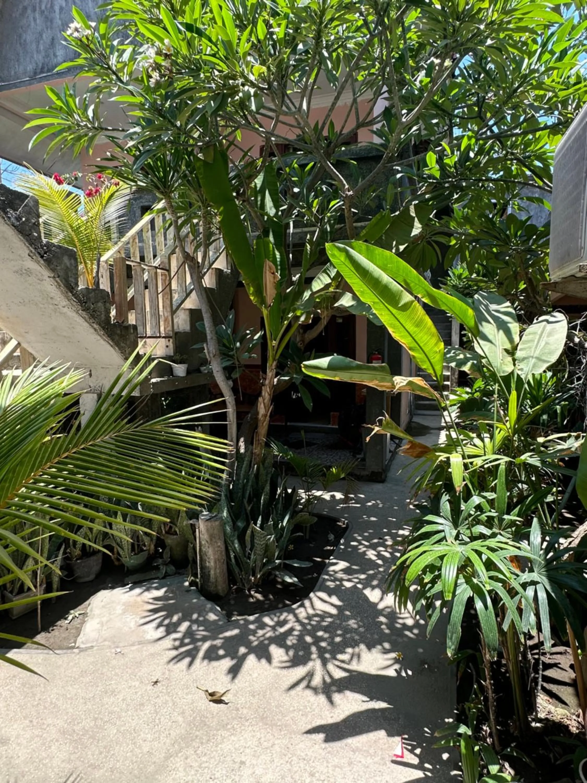 Day in James Bungalow