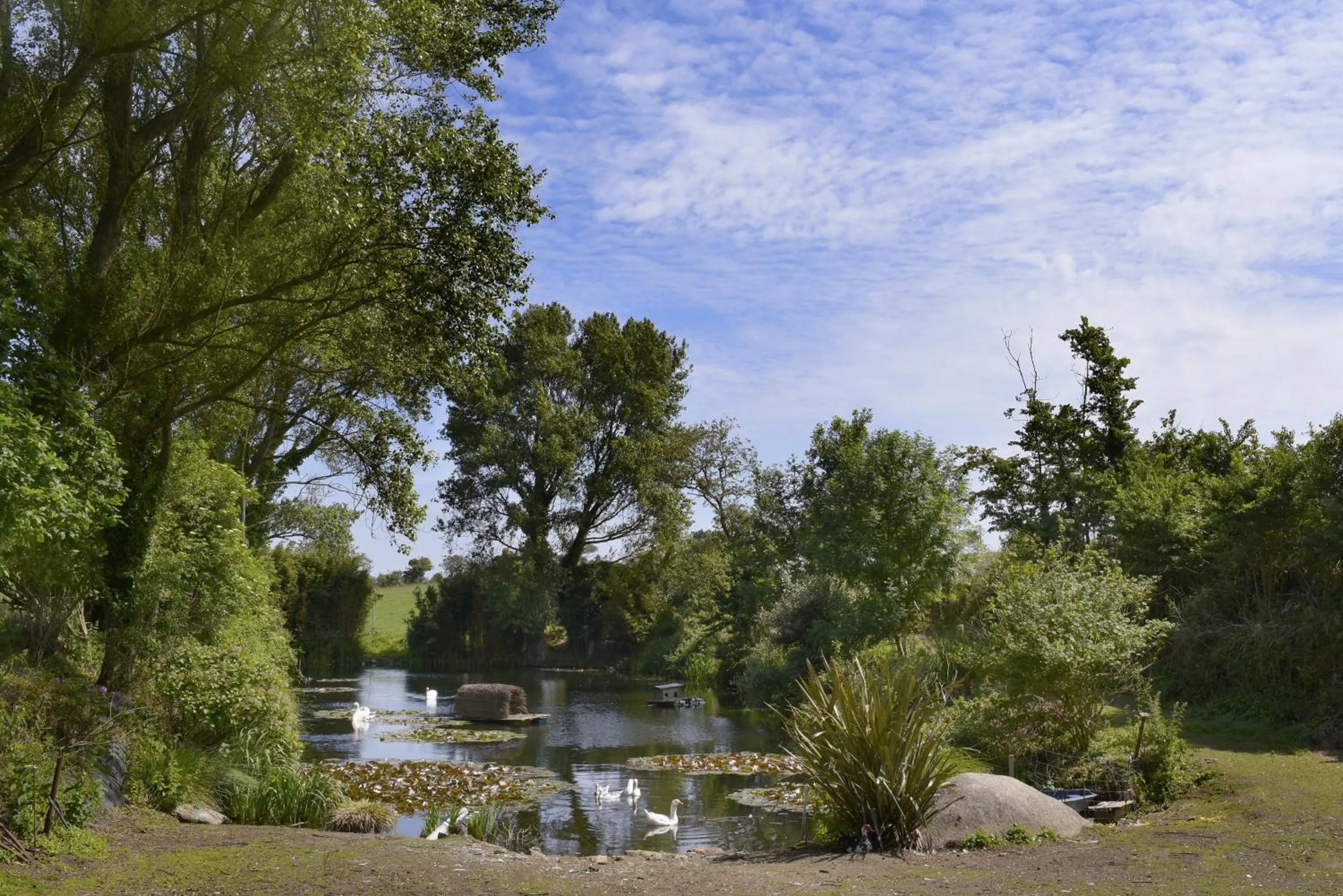 Natural landscape in Domaine de Kerzuat