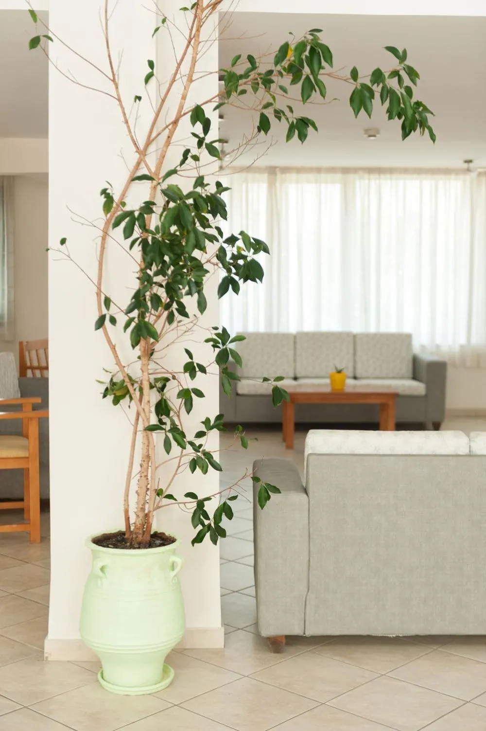 Ageri Hotel