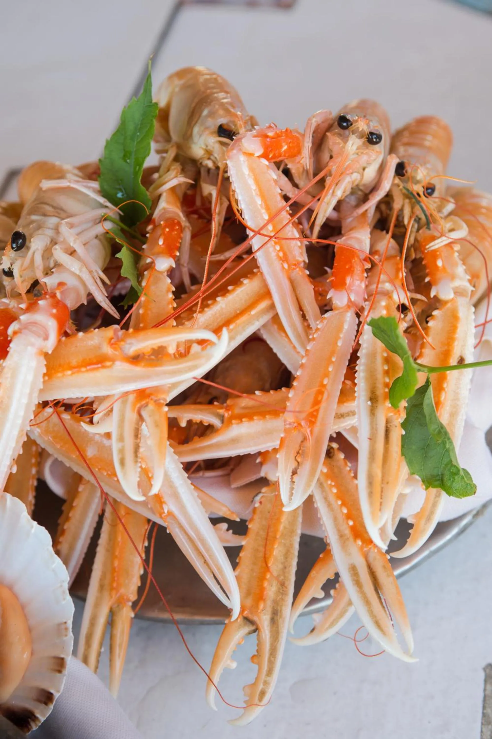 Food in Hotel Hermitage