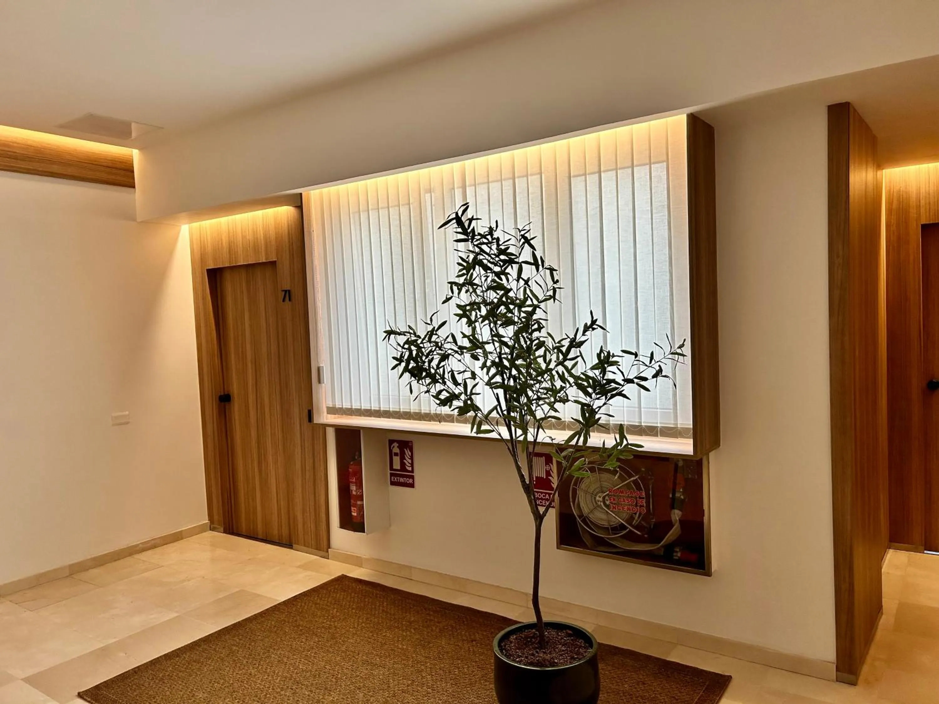 Apartamentos Bruja