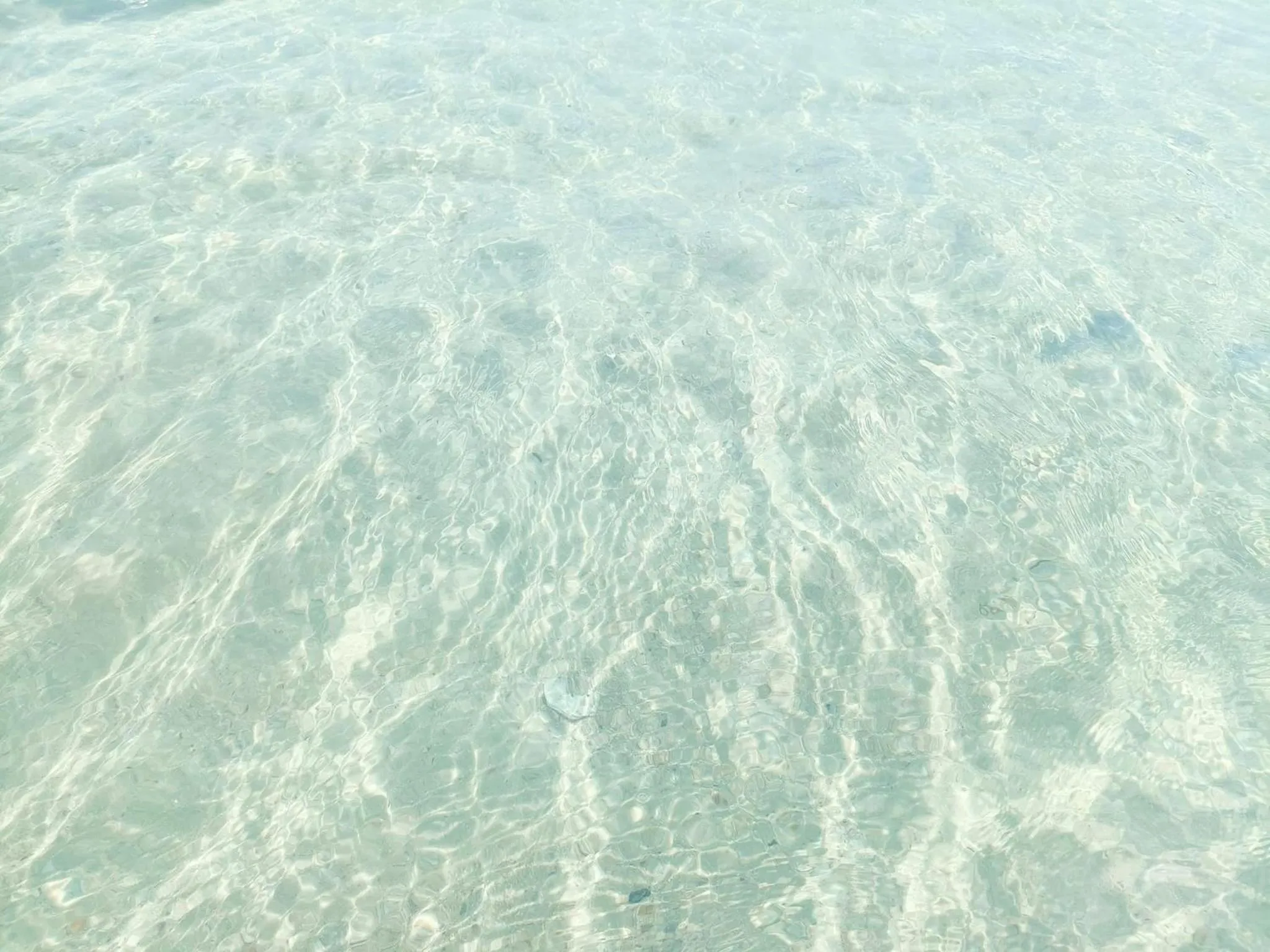 Natural landscape in Malibu Samed Resort