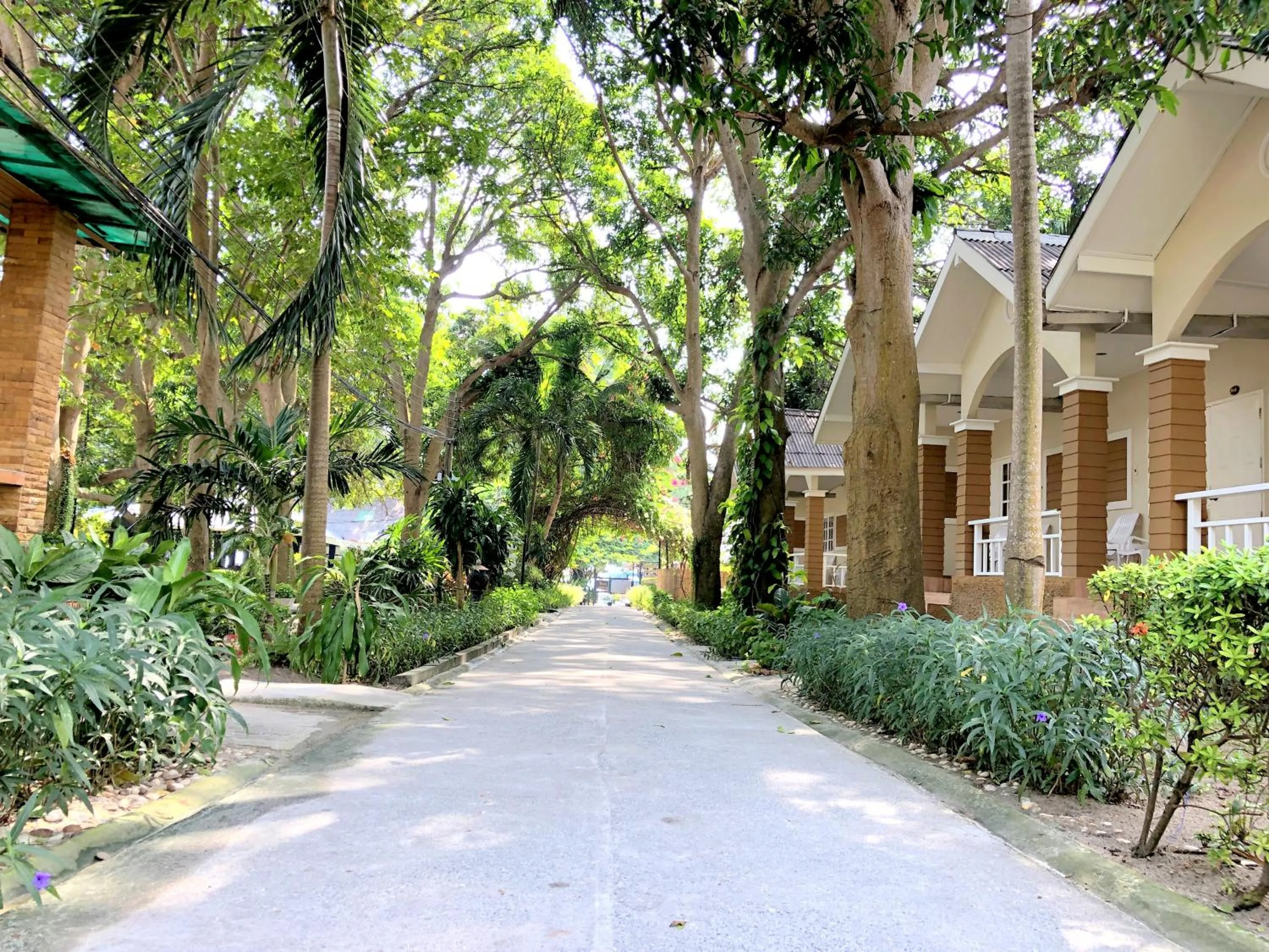 Property building in Malibu Samed Resort