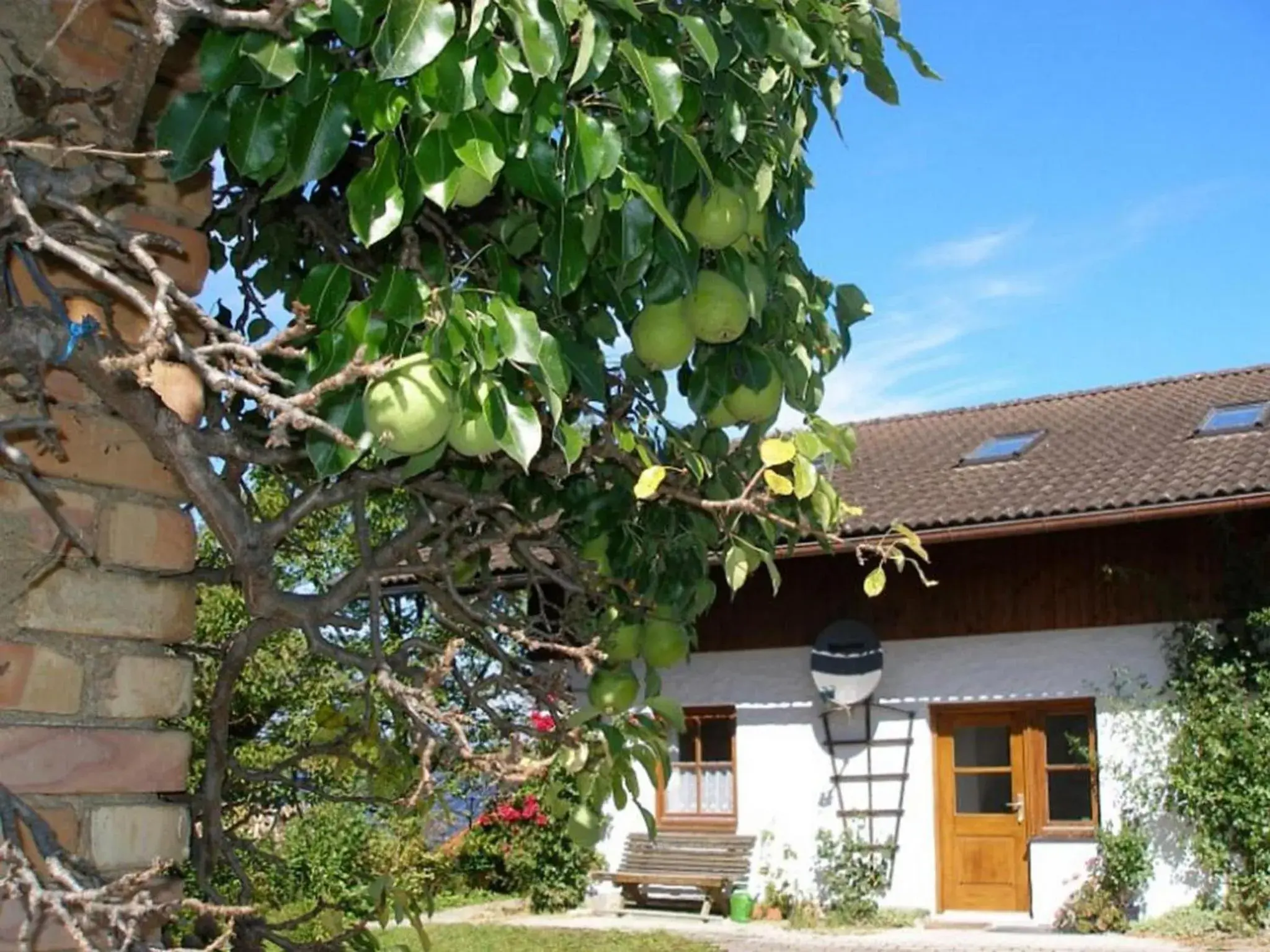 Gschwingerhof Gschwingerhof