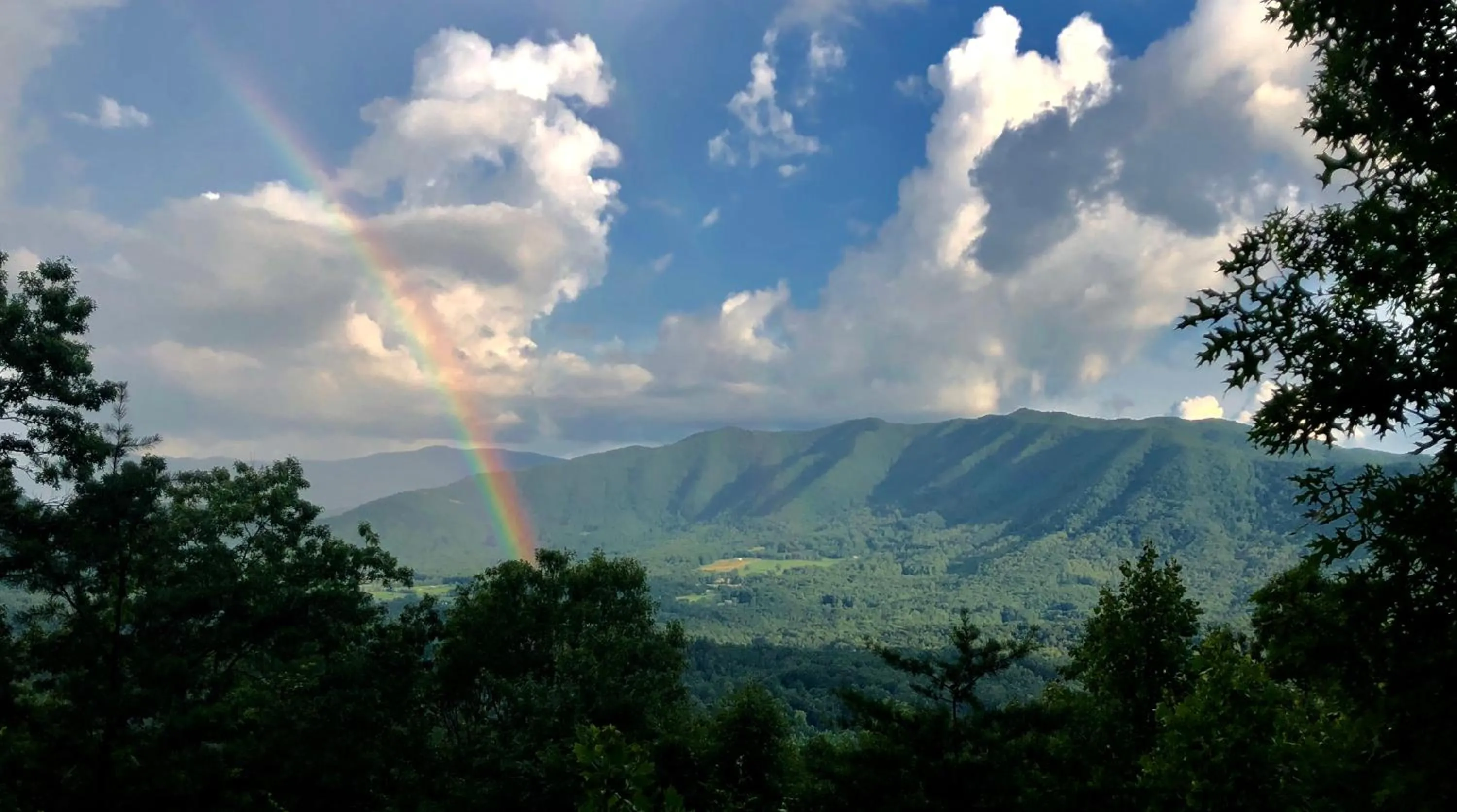 Heavenly View