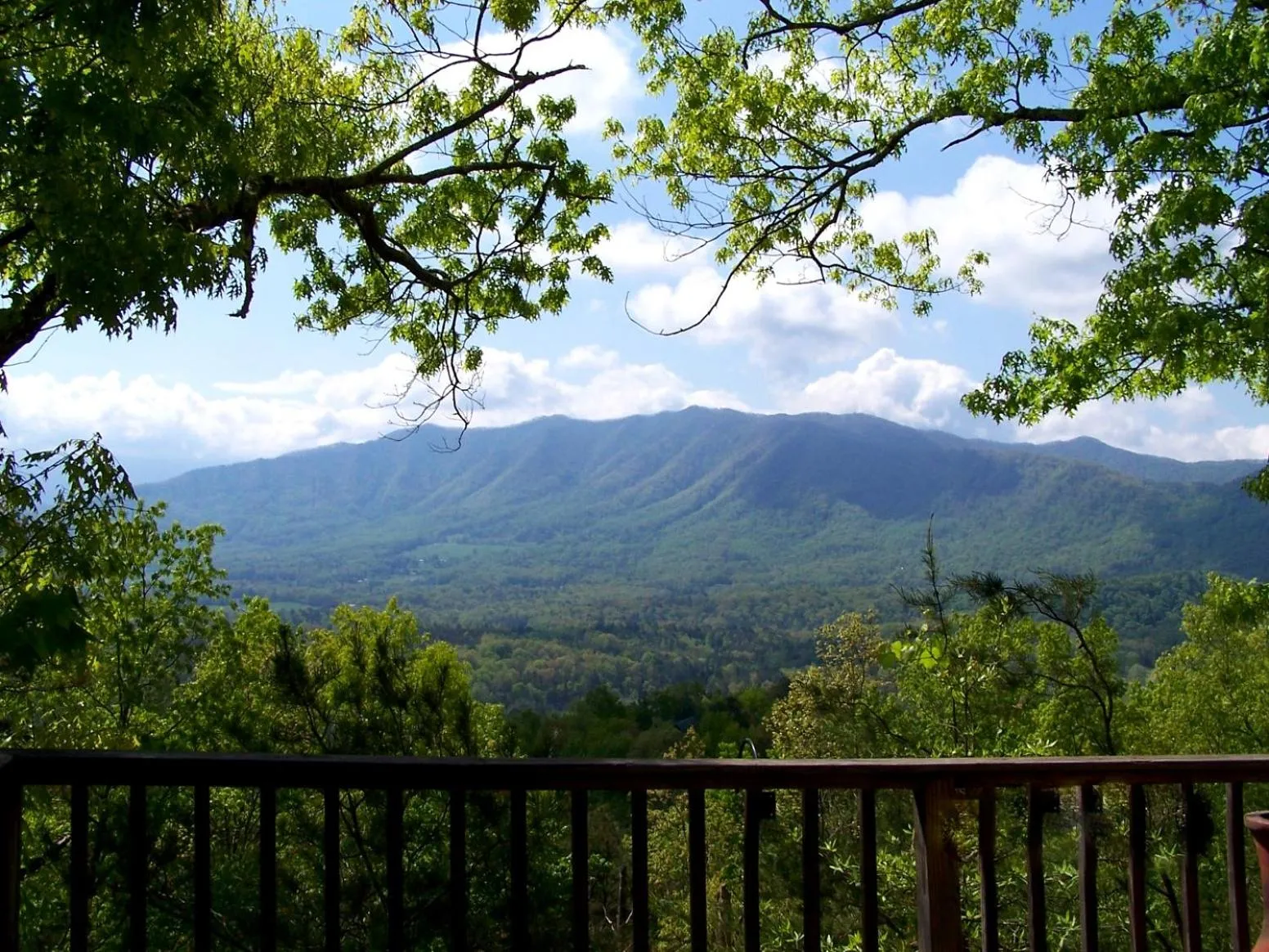 Heavenly View