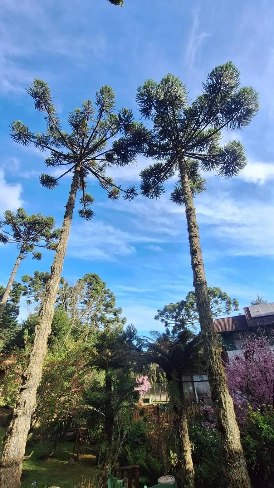 Pousada Bramasole em Monte Verde