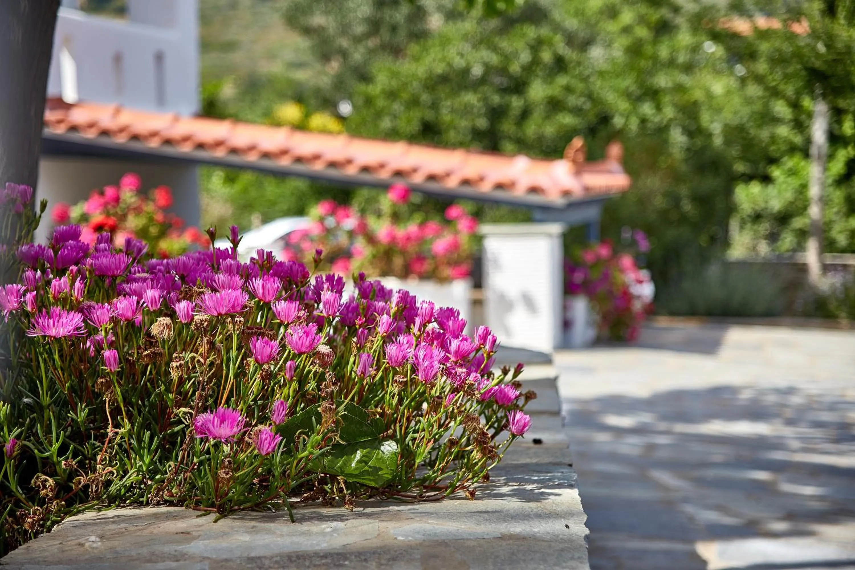 Day in Irene Studios