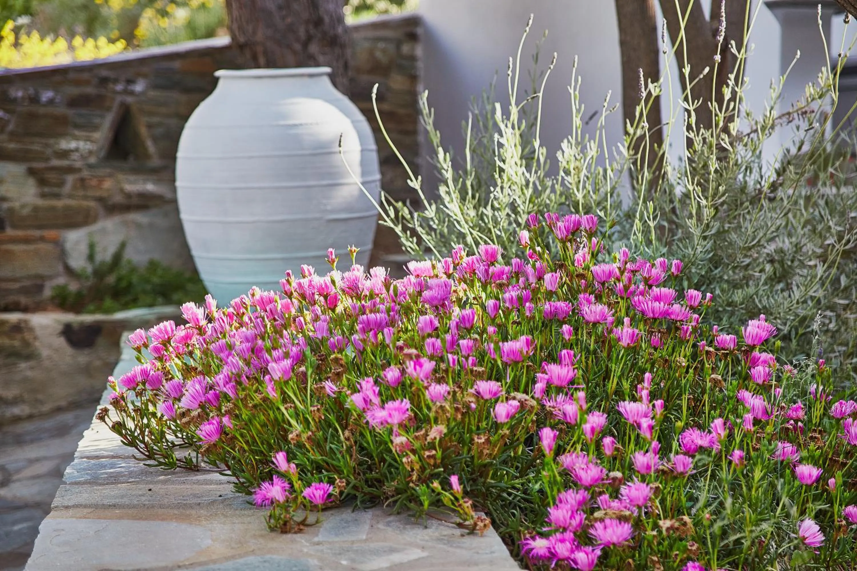 Day in Irene Studios