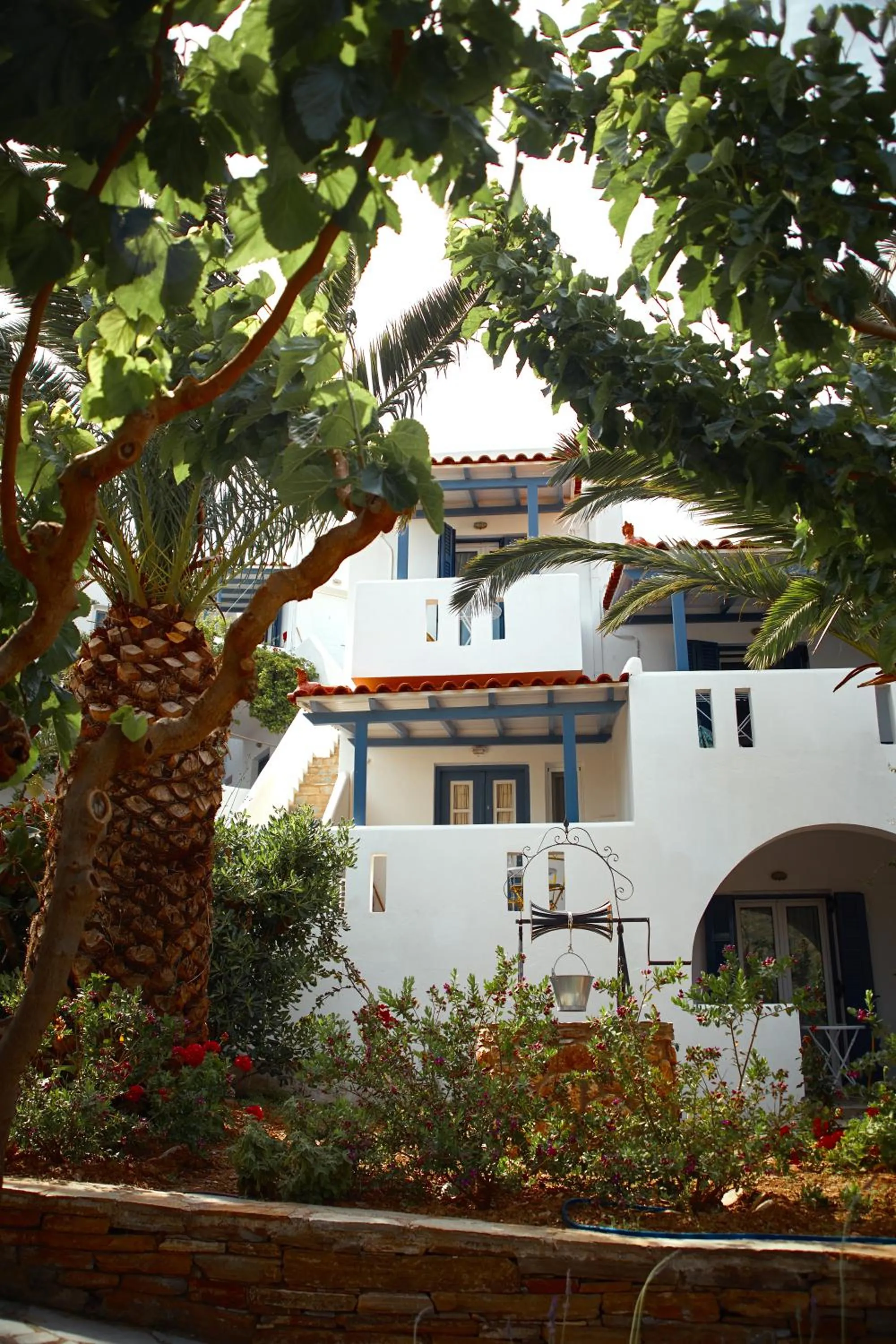 Garden in Irene Studios