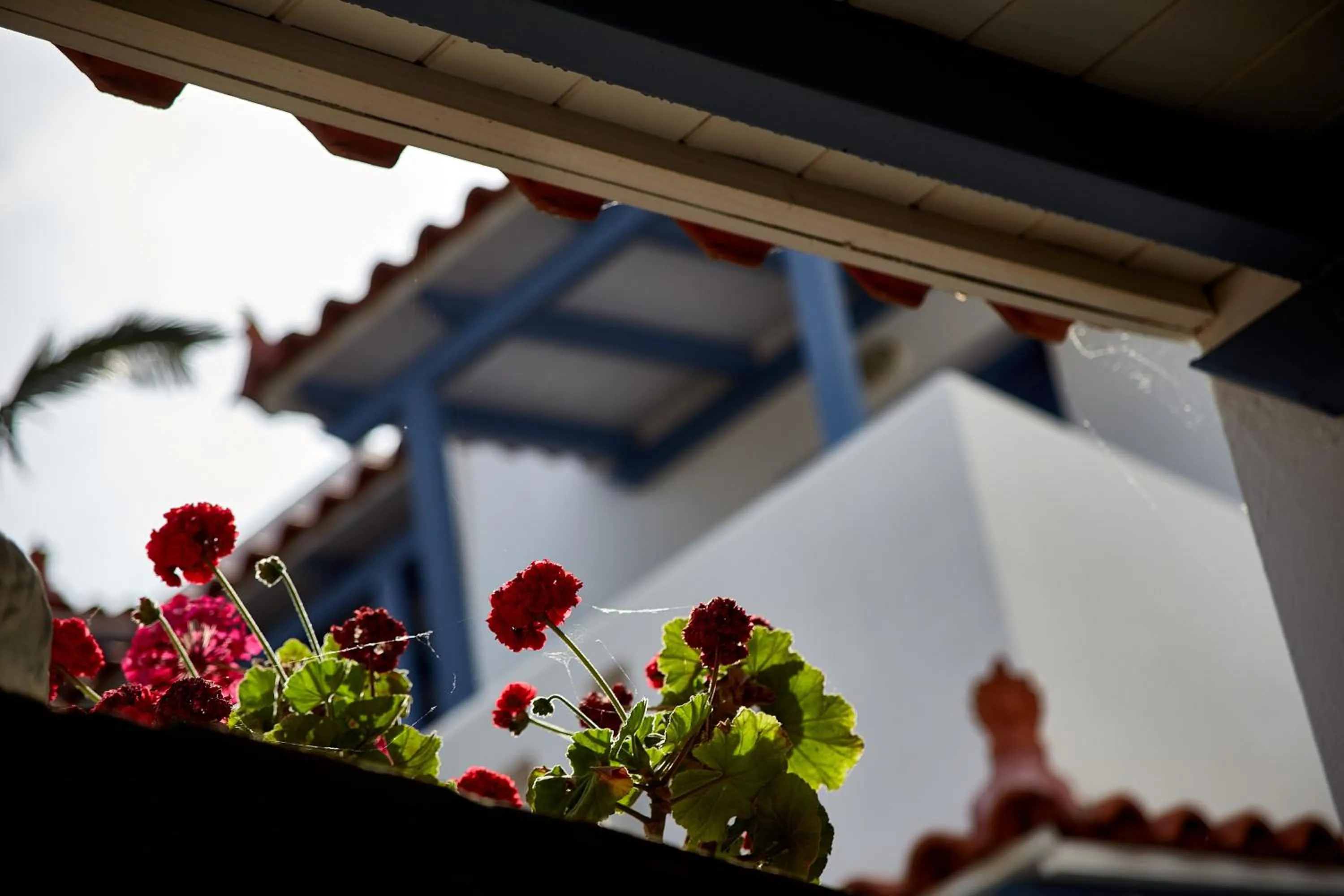 Balcony/Terrace in Irene Studios