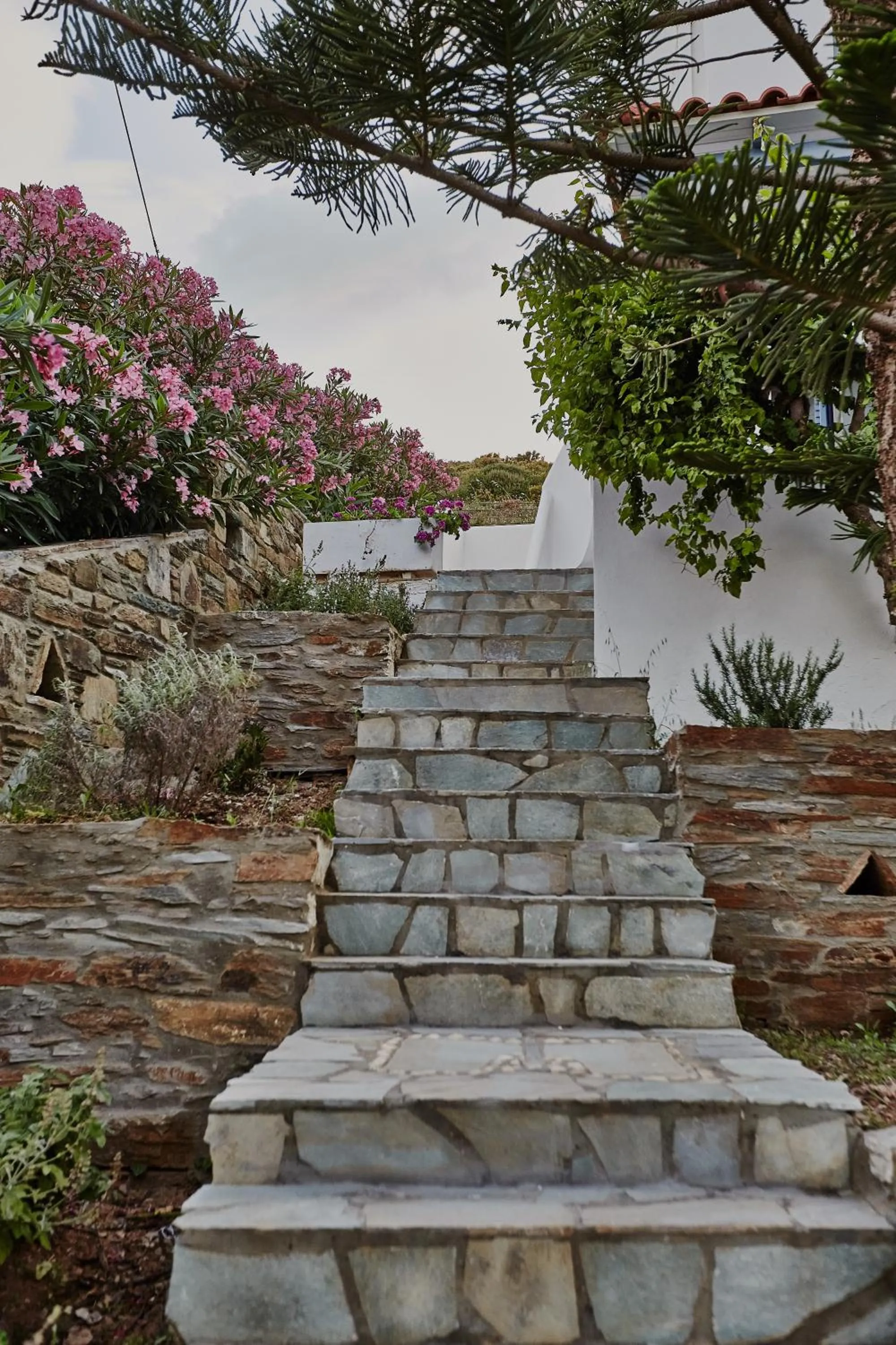 Garden in Irene Studios