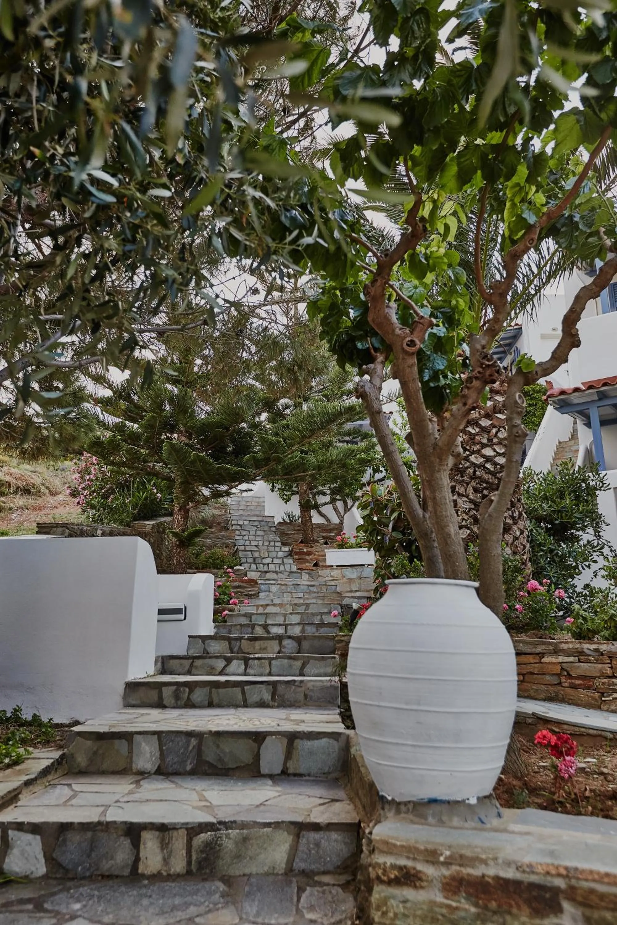 Garden in Irene Studios