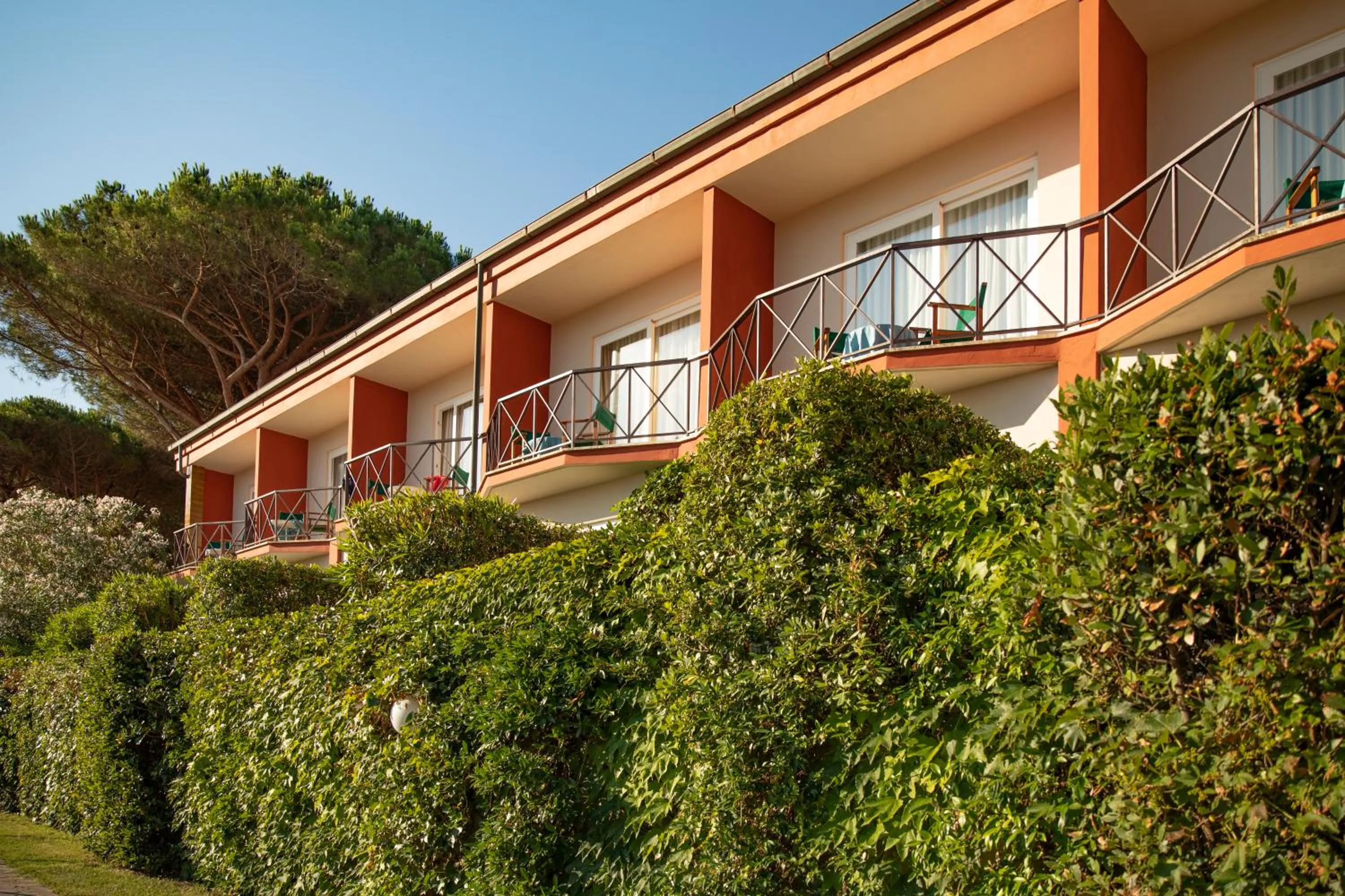 Garden view in Hotel Desiree