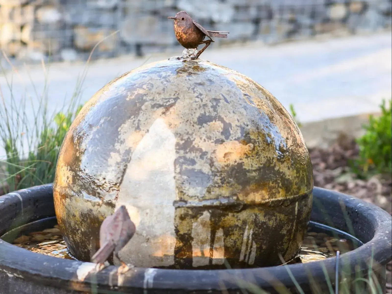 Garden in Four Palms Accommodation Garden in Four Palms Accommodation