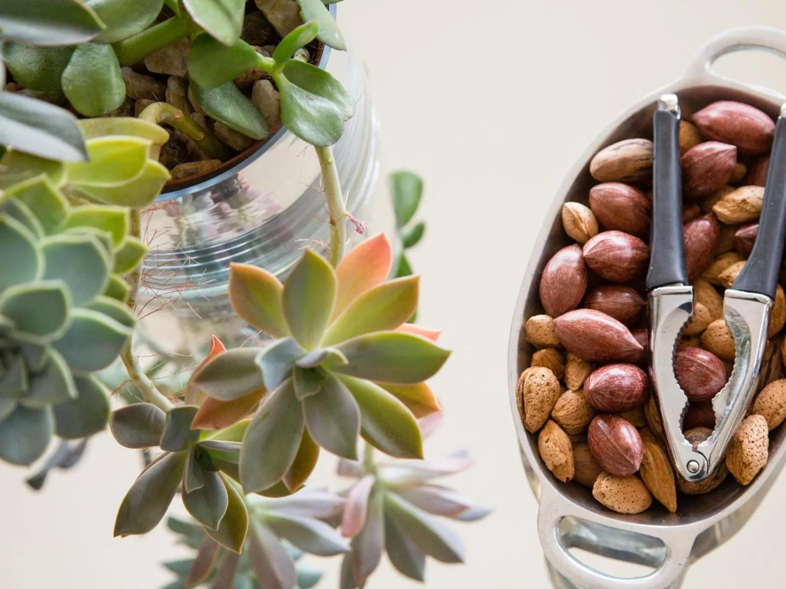 Decorative detail in Four Palms Accommodation