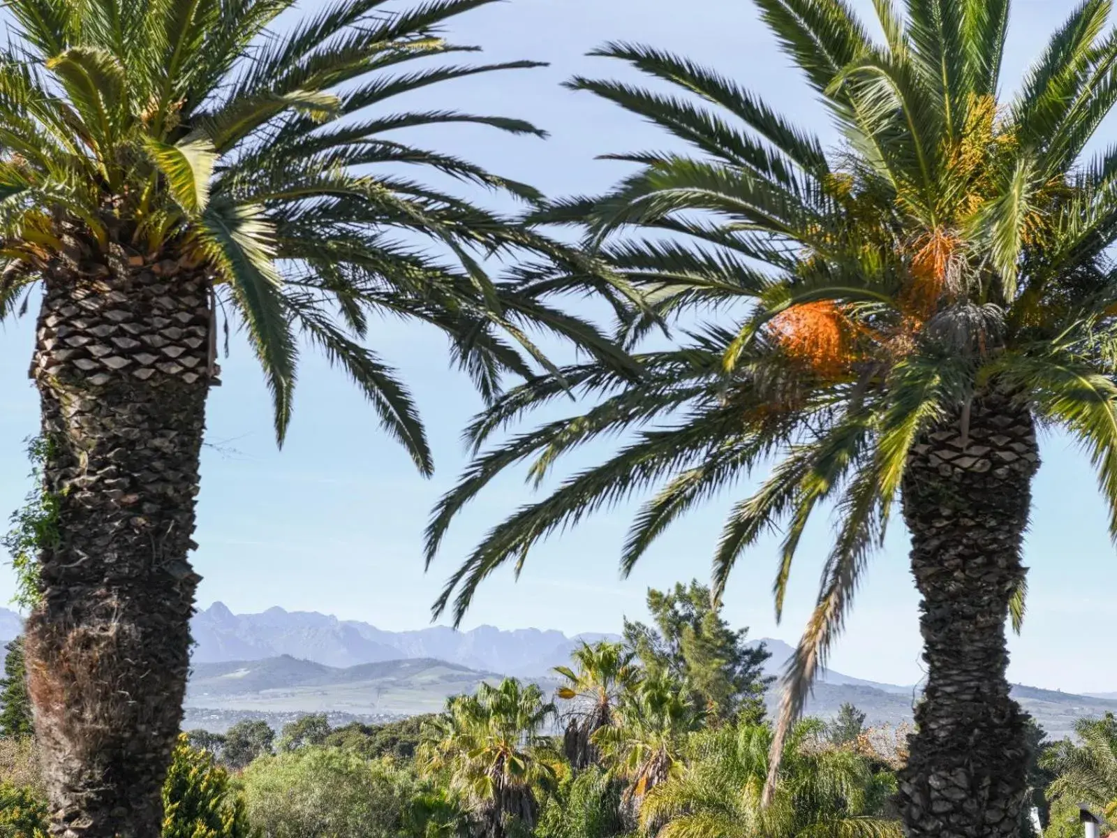 Mountain view in Four Palms Accommodation Mountain view in Four Palms Accommodation