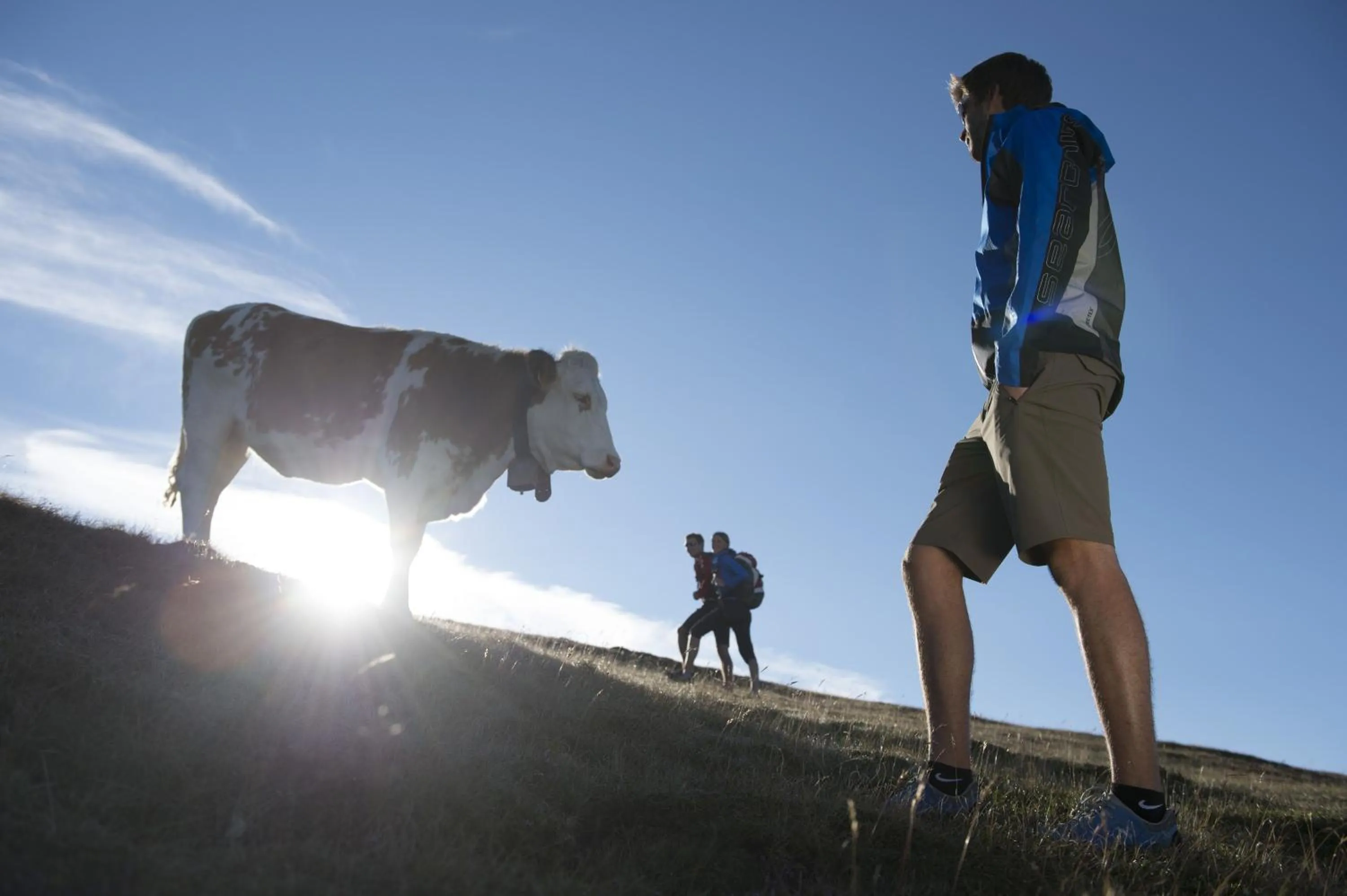 Hiking in Aparthotel Panorama
