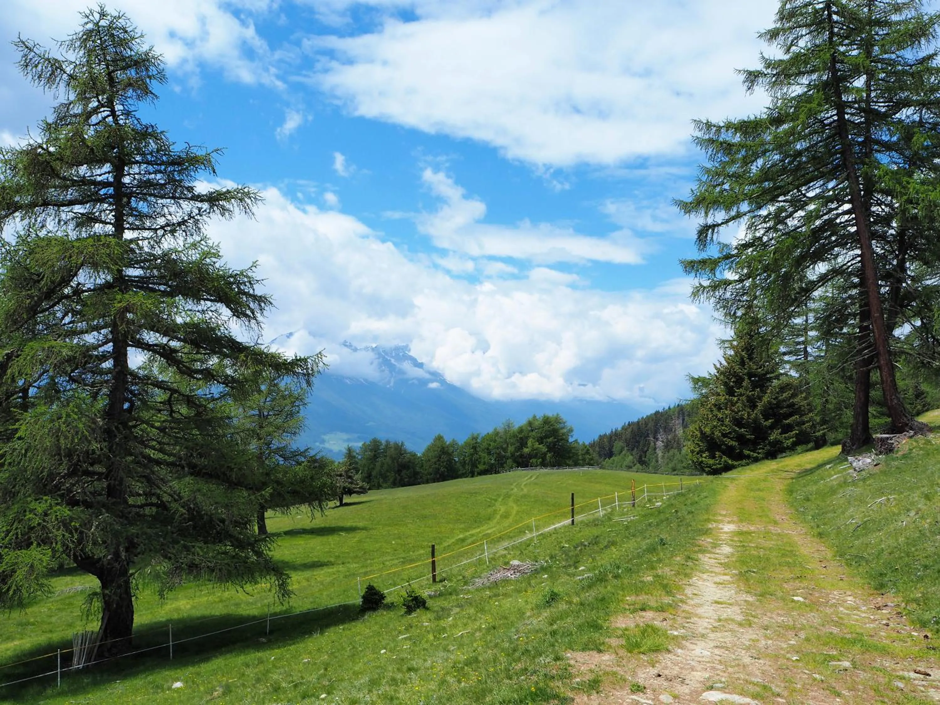Natural landscape in Feldgärtenhof
