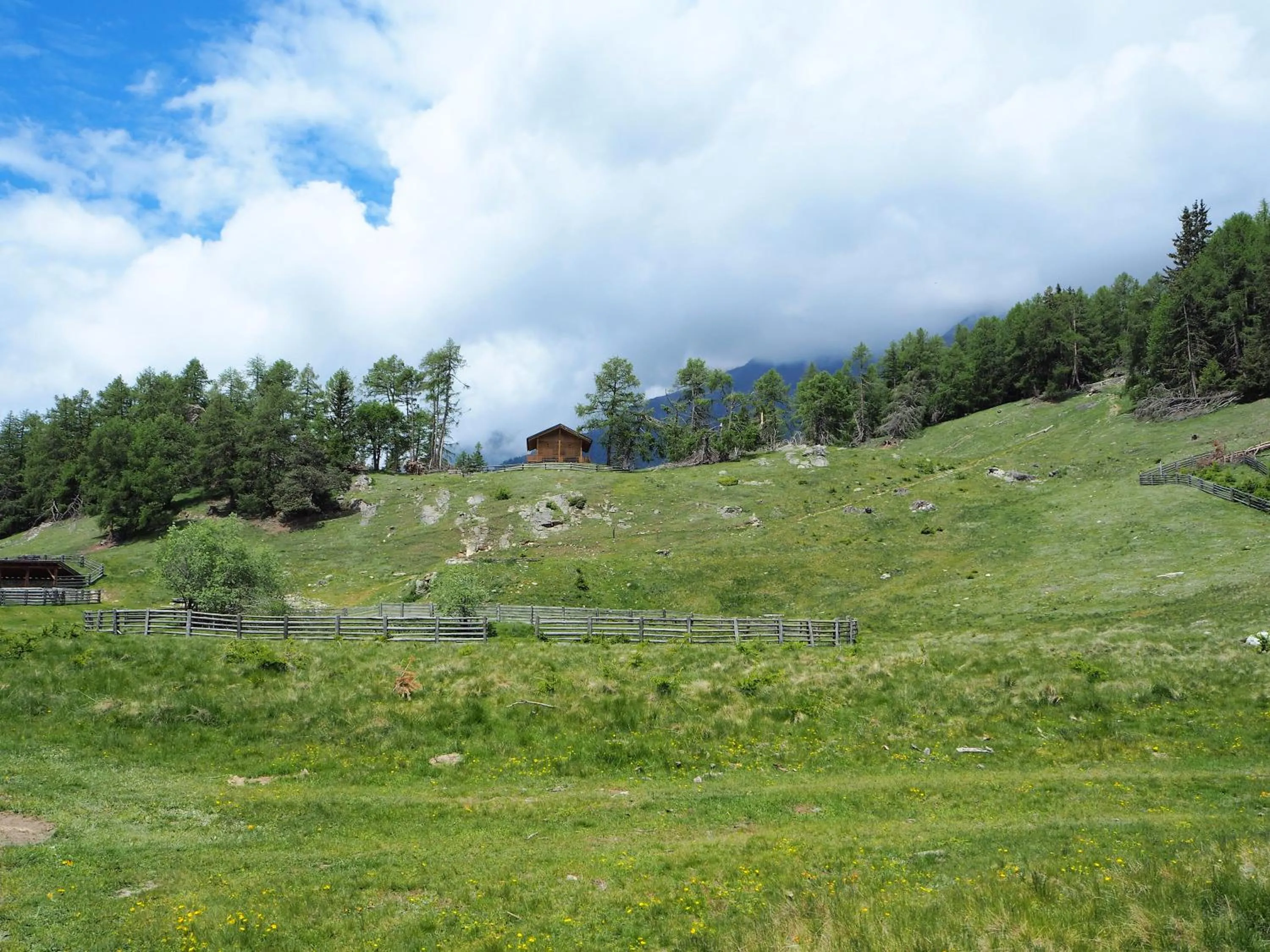 Natural landscape in Feldgärtenhof