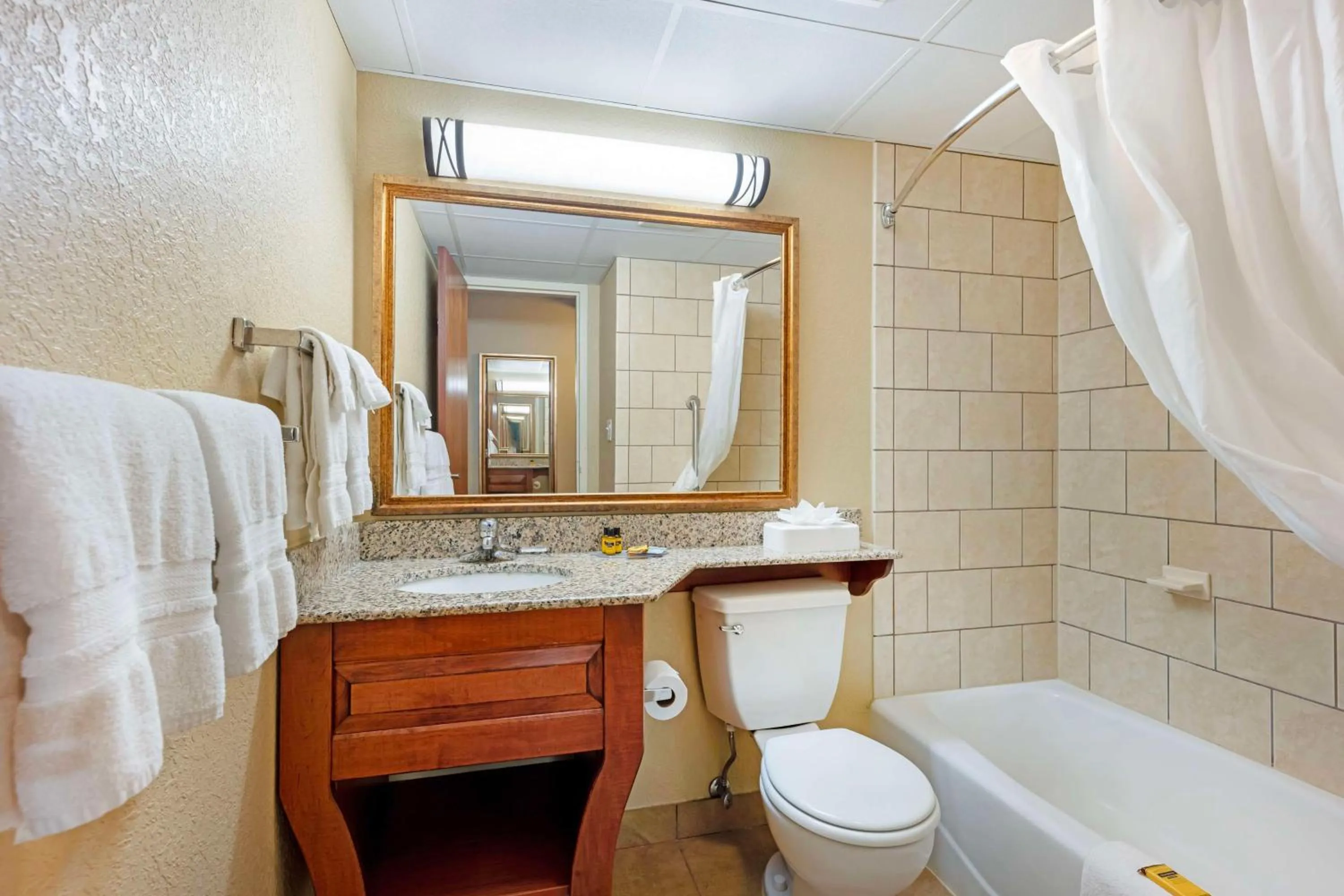 Bathroom in Best Western Plus Mid Nebraska Inn & Suites