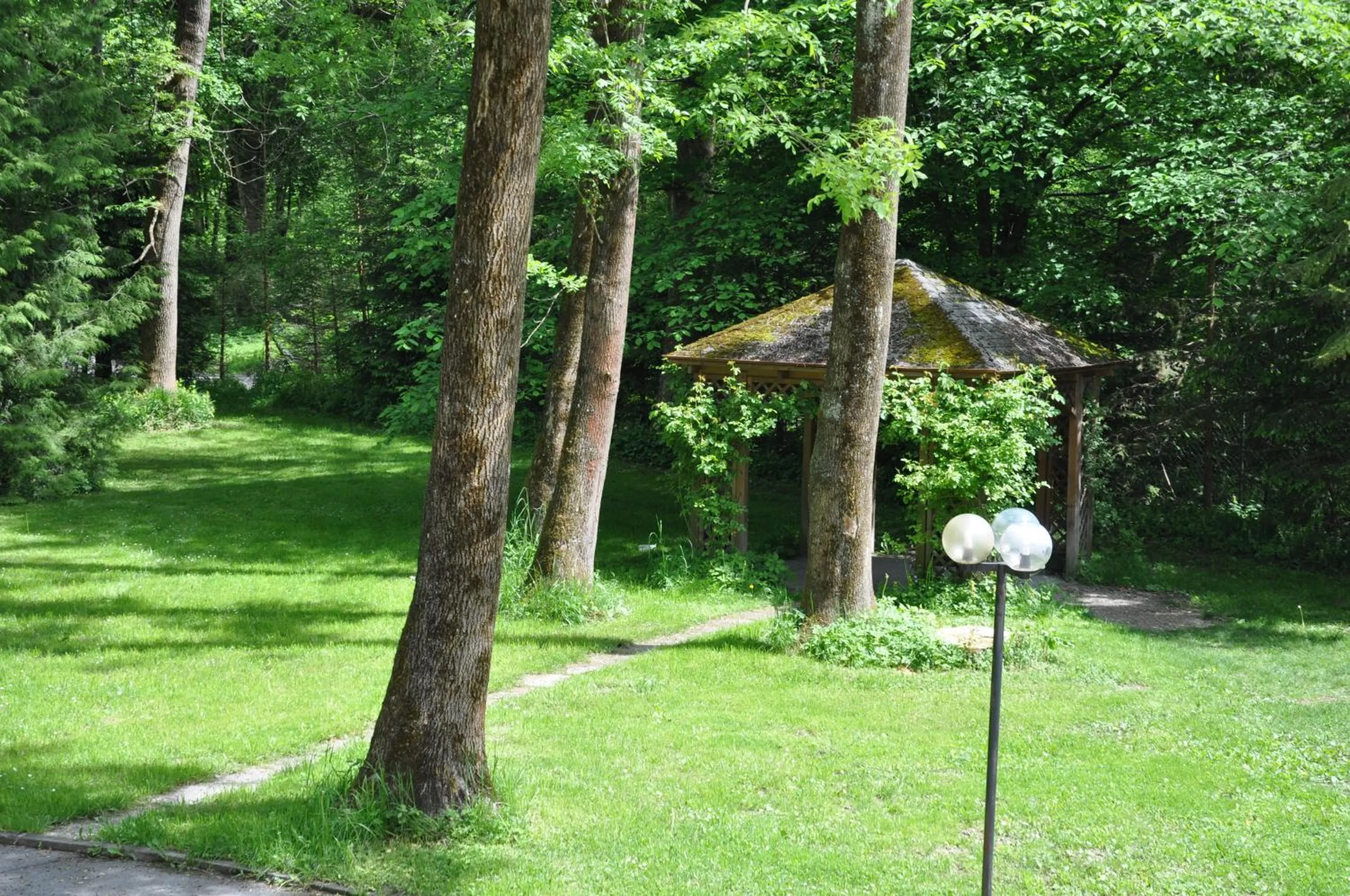 Garden in Eduard-Heinrich-Haus, Hostel