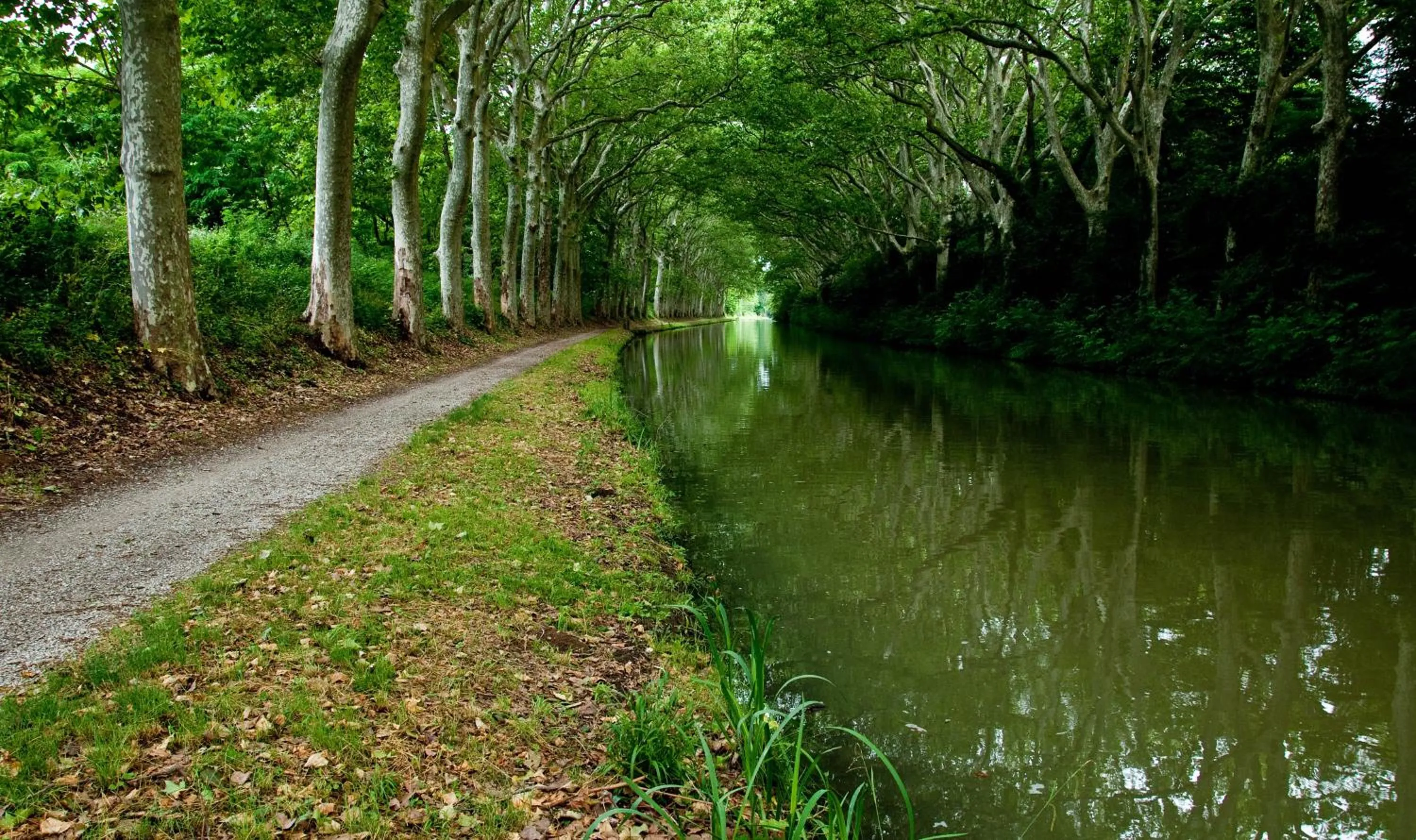 Day in Hotel De La Bastide