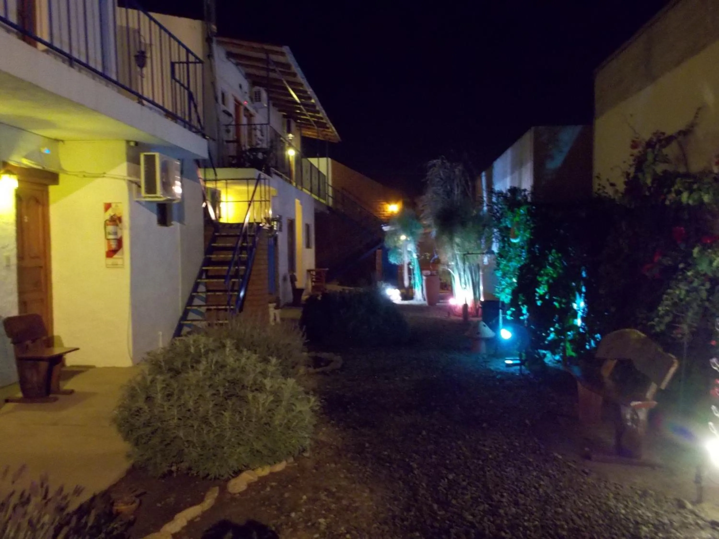 Garden in Divina Presencia