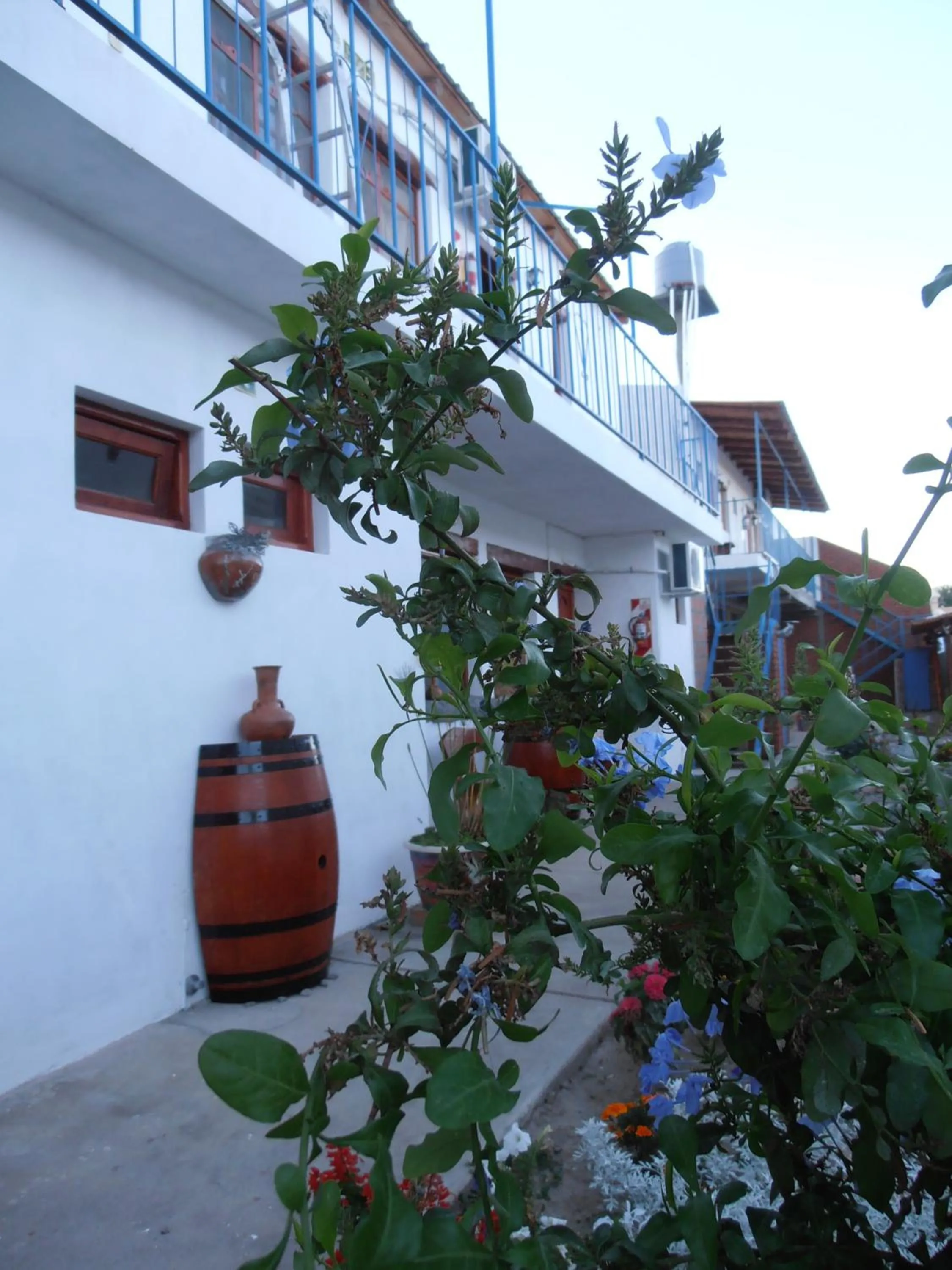 Garden in Divina Presencia