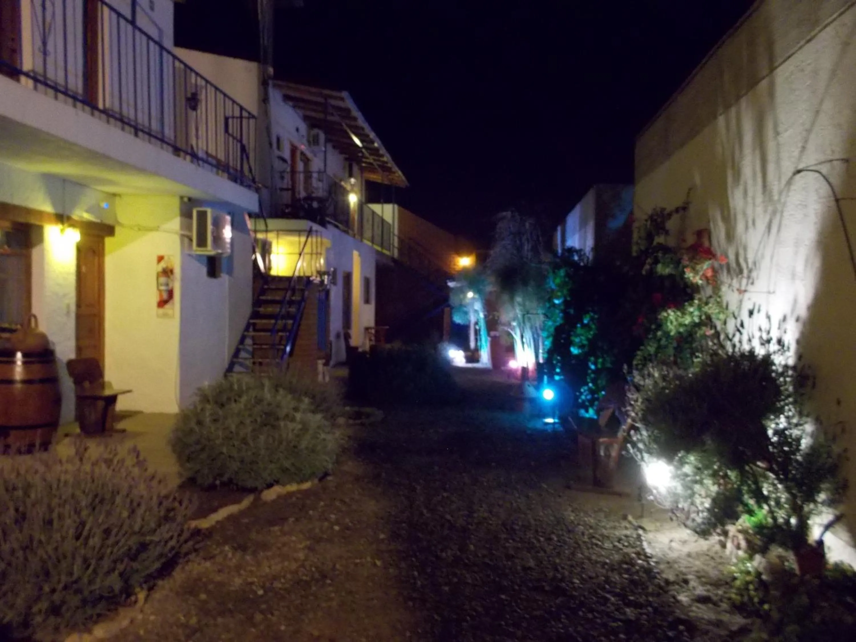 Night in Divina Presencia