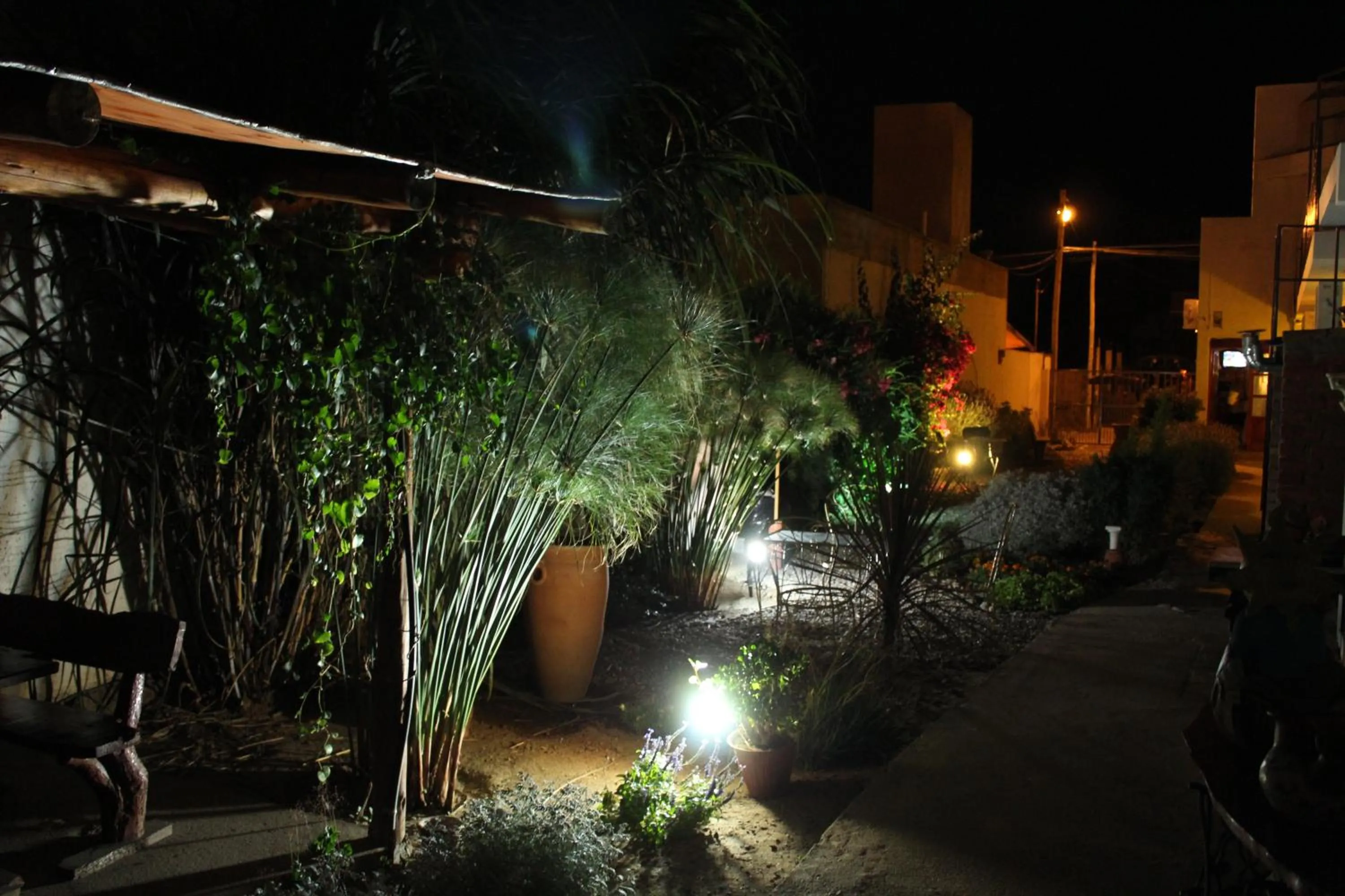 Patio in Divina Presencia