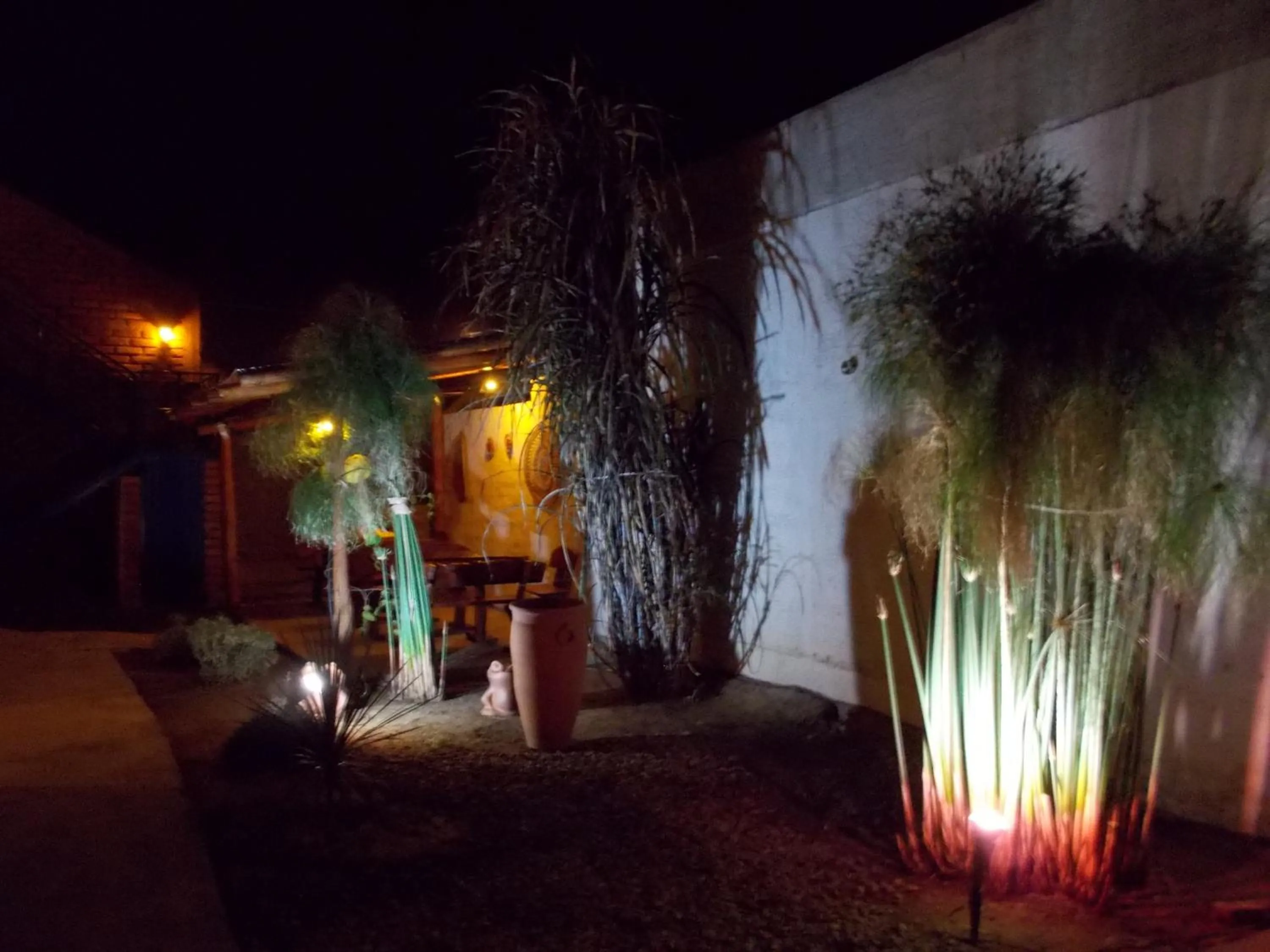 Garden in Divina Presencia