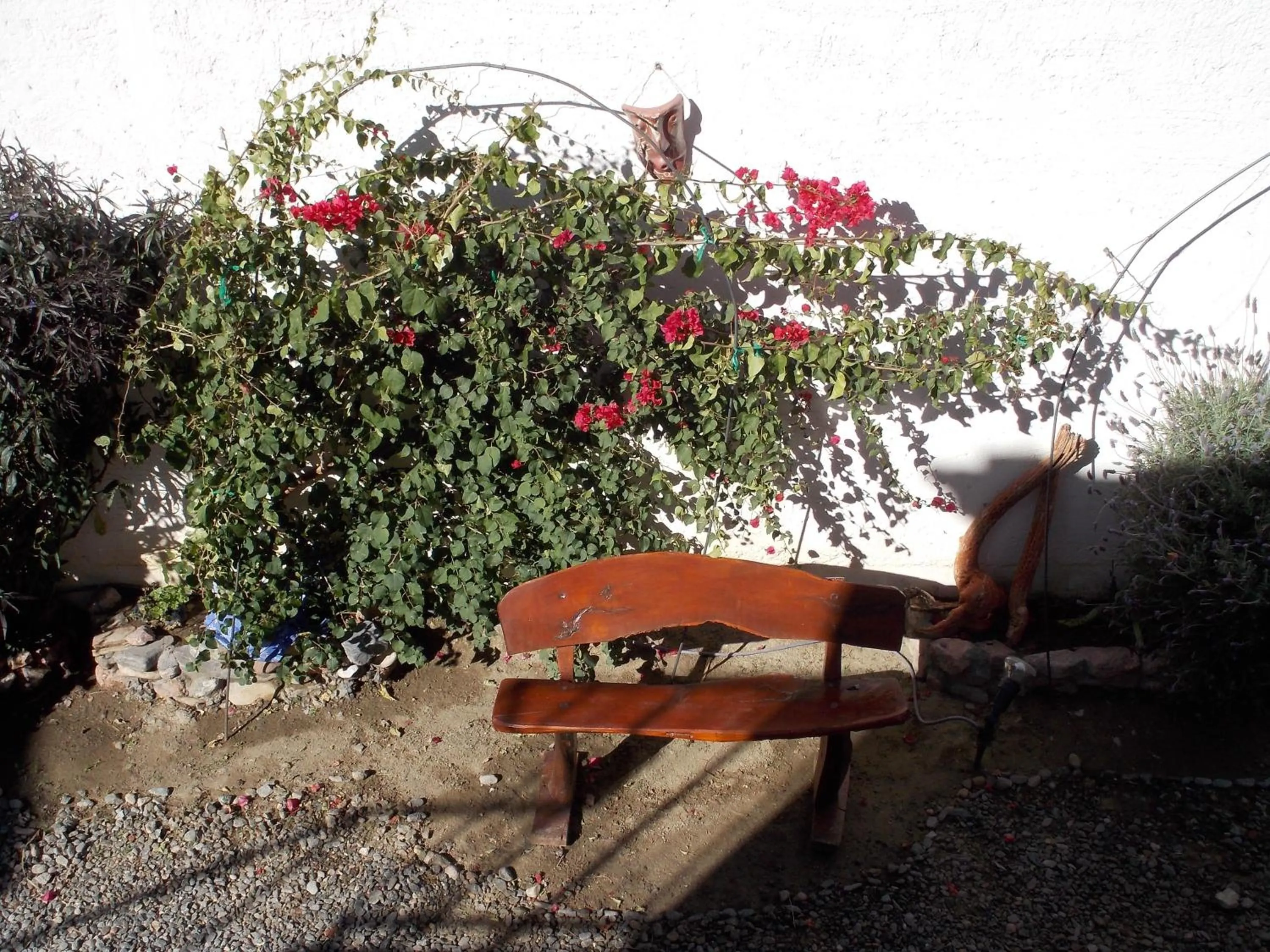 Garden in Divina Presencia