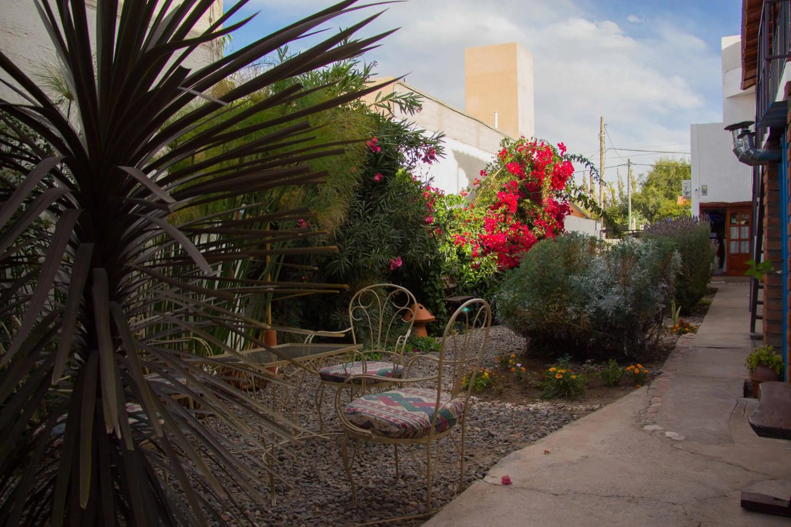 Garden in Divina Presencia