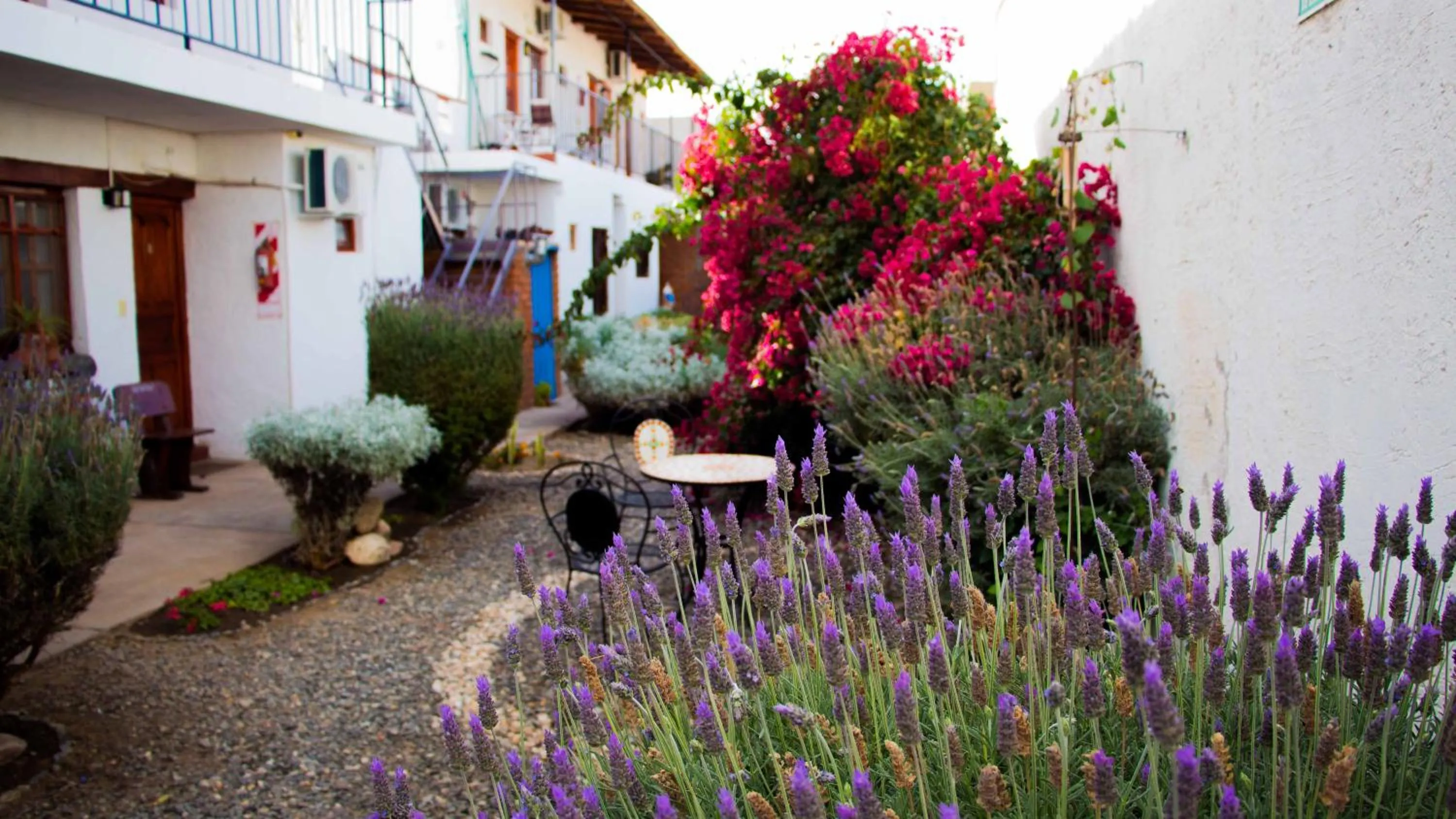 Garden in Divina Presencia