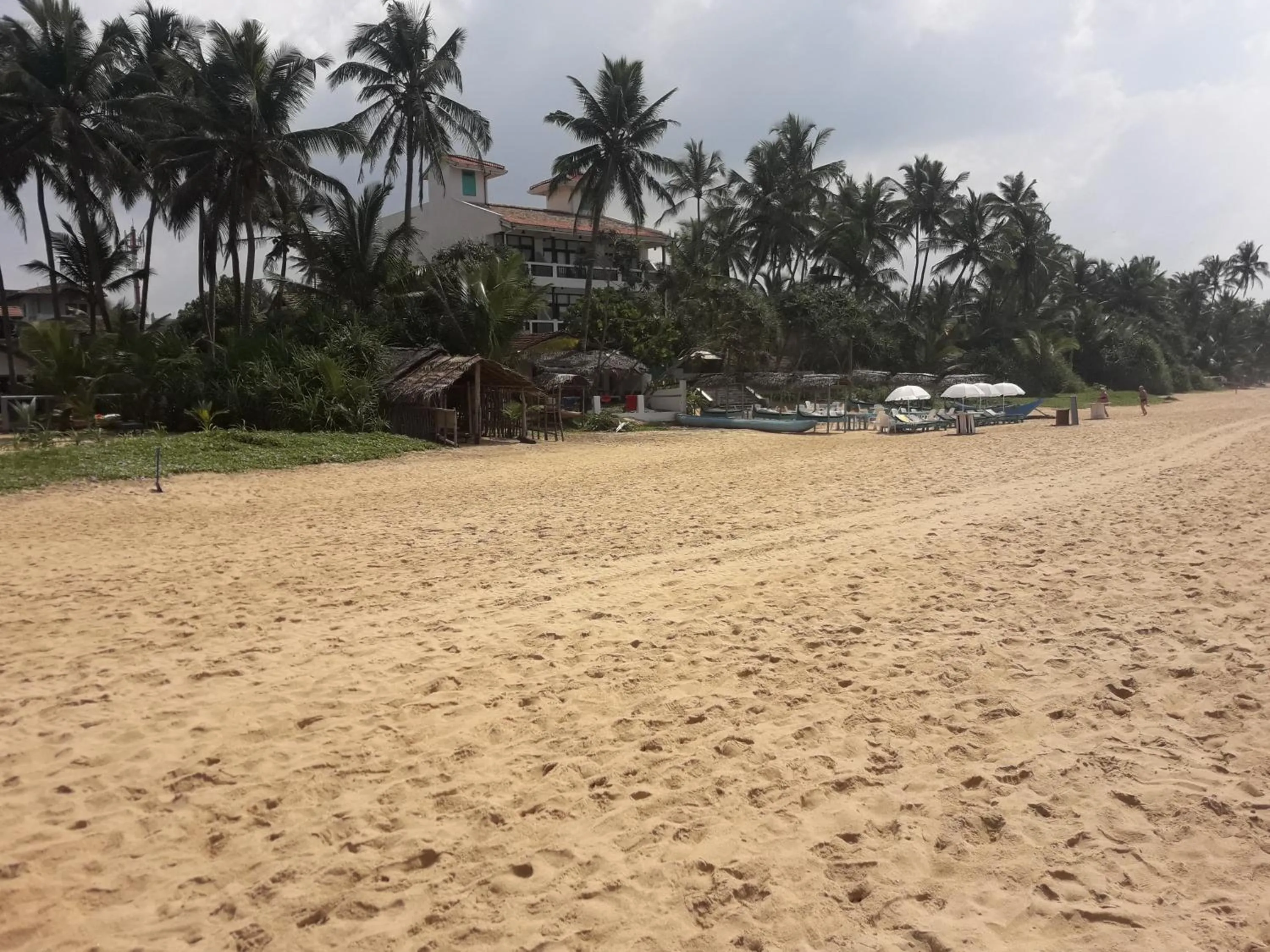 Restaurant/places to eat in Sea Front Hikkaduwa