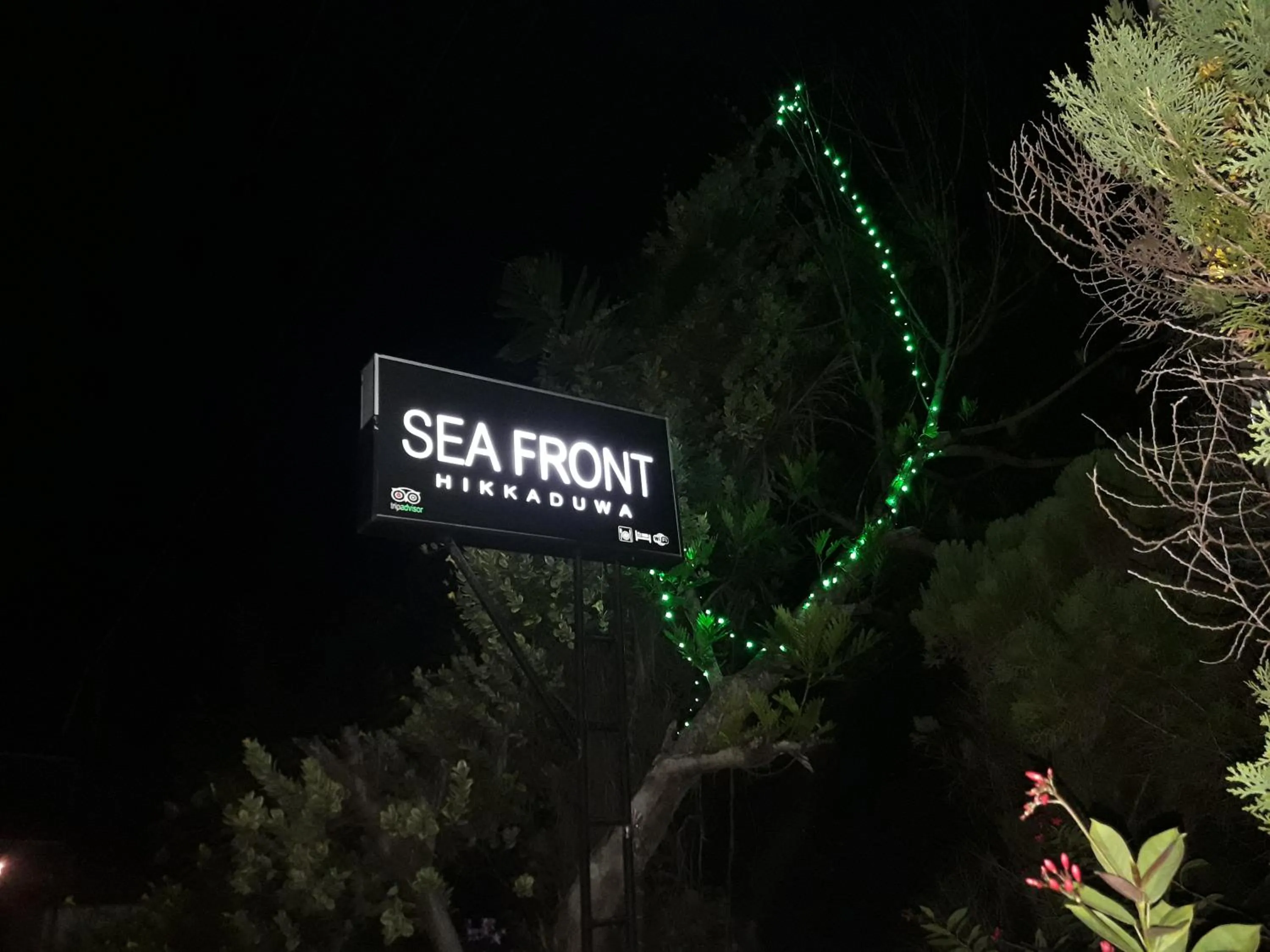 Logo/Certificate/Sign in Sea Front Hikkaduwa