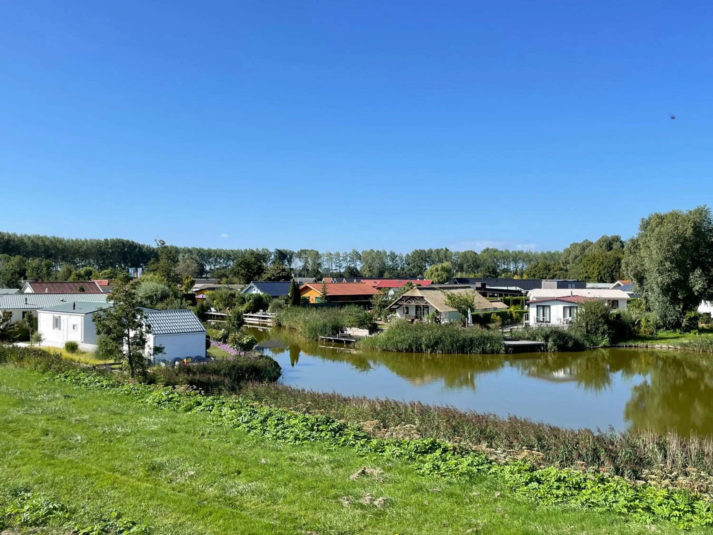 Natural landscape in De Roos chalet 174