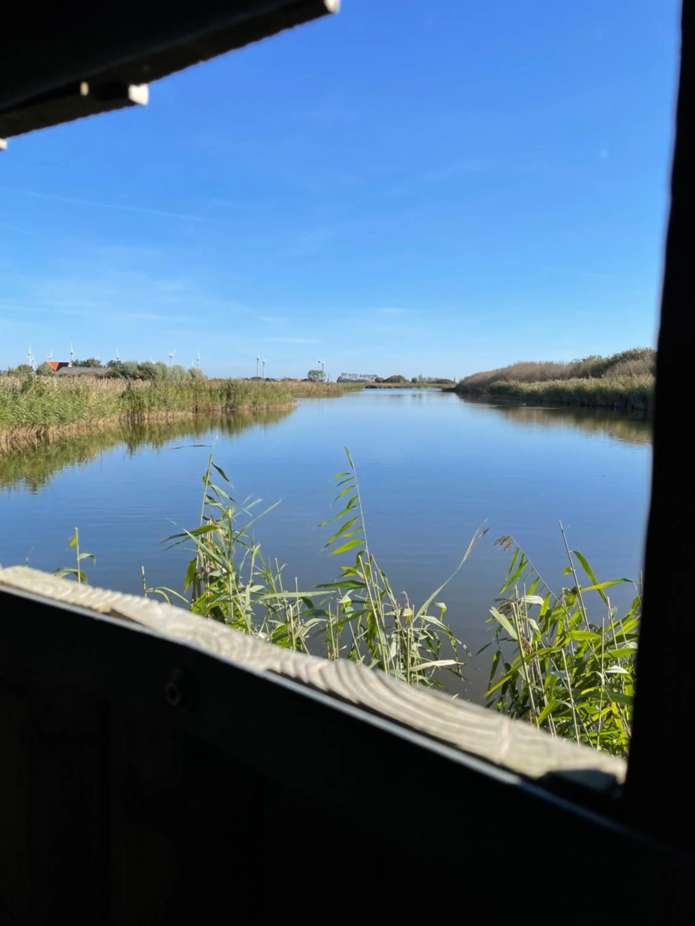 Natural landscape in De Roos chalet 174