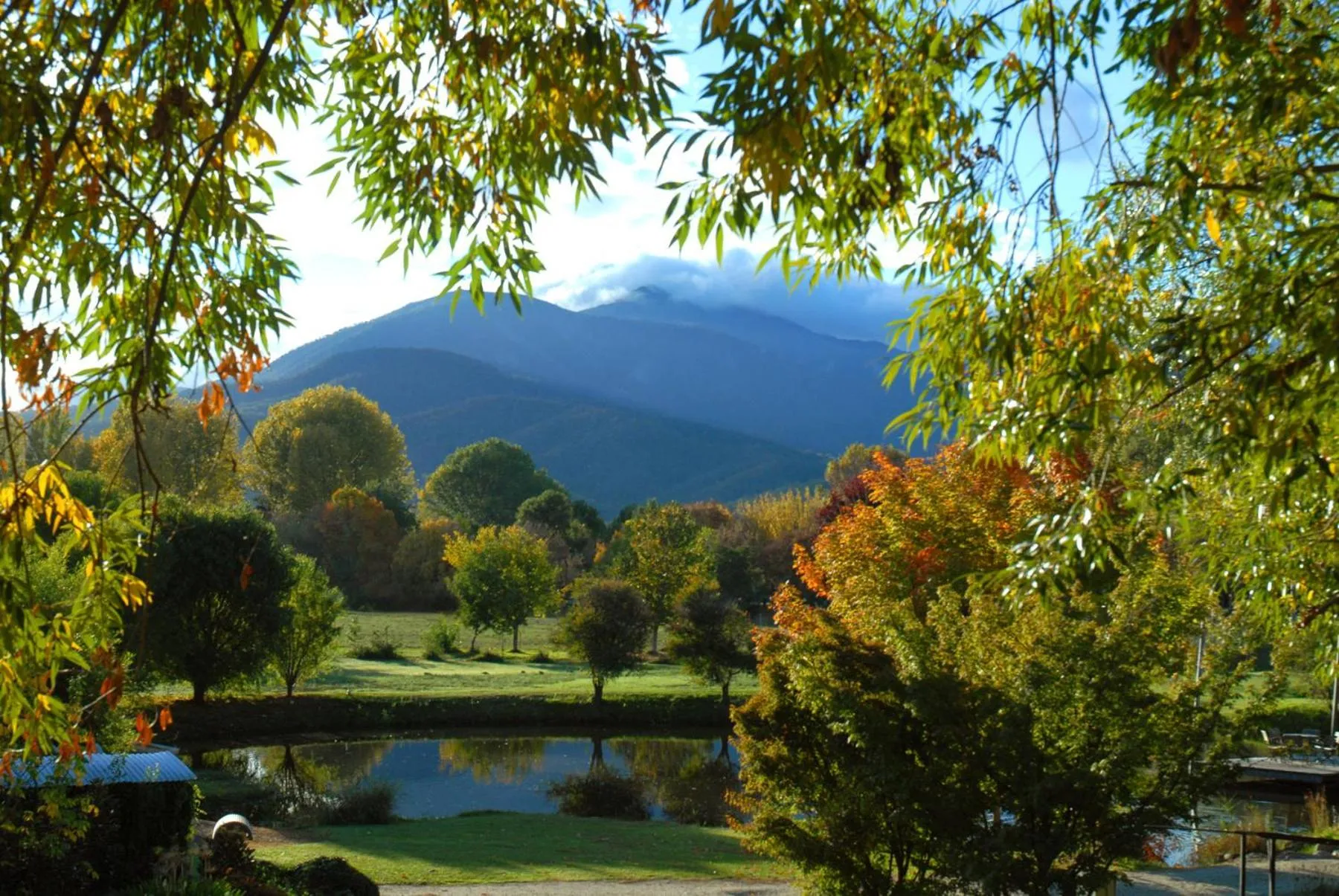 Garden view in Dreamers