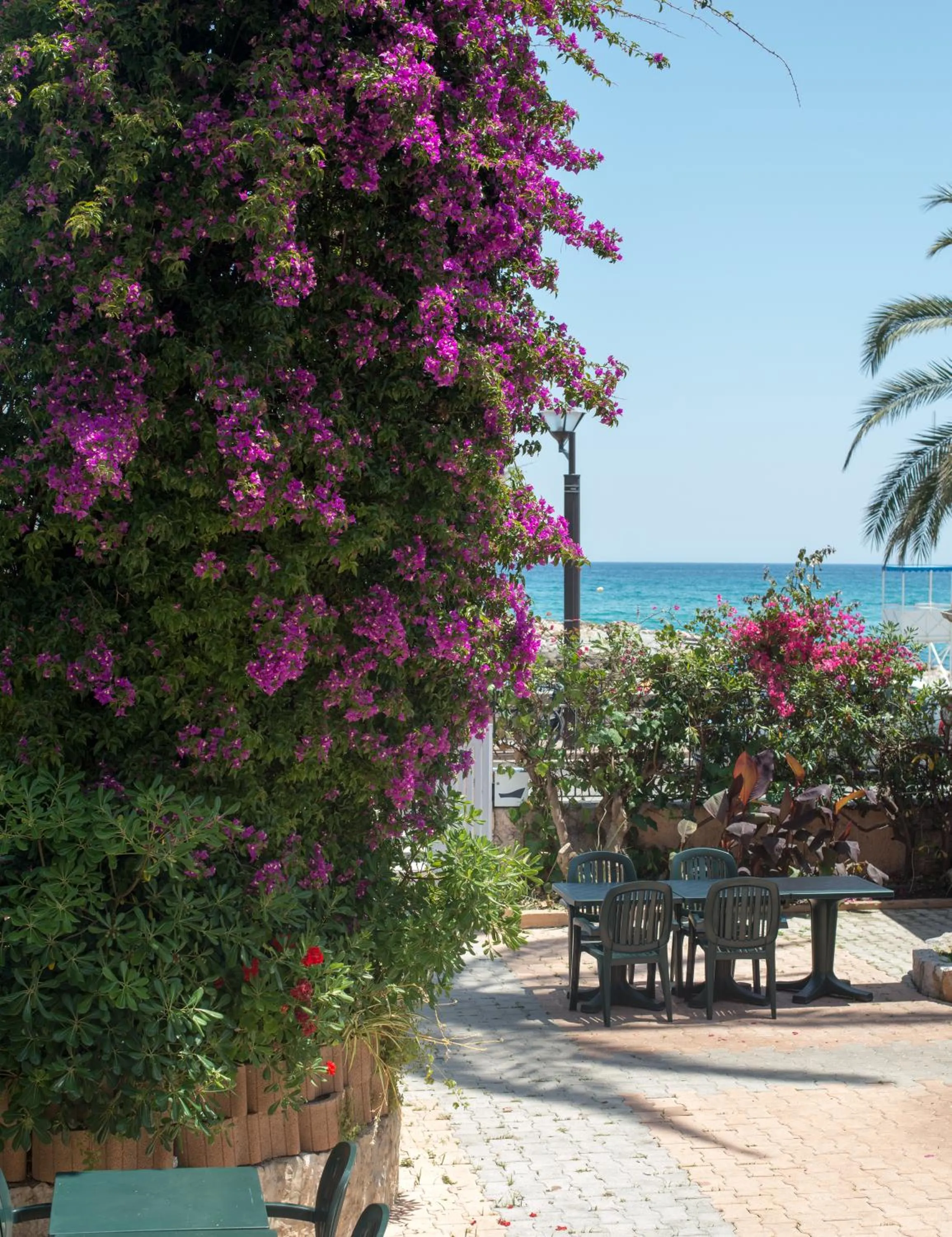 Balcony/Terrace in Hotel et Appartements Reine D'Azur