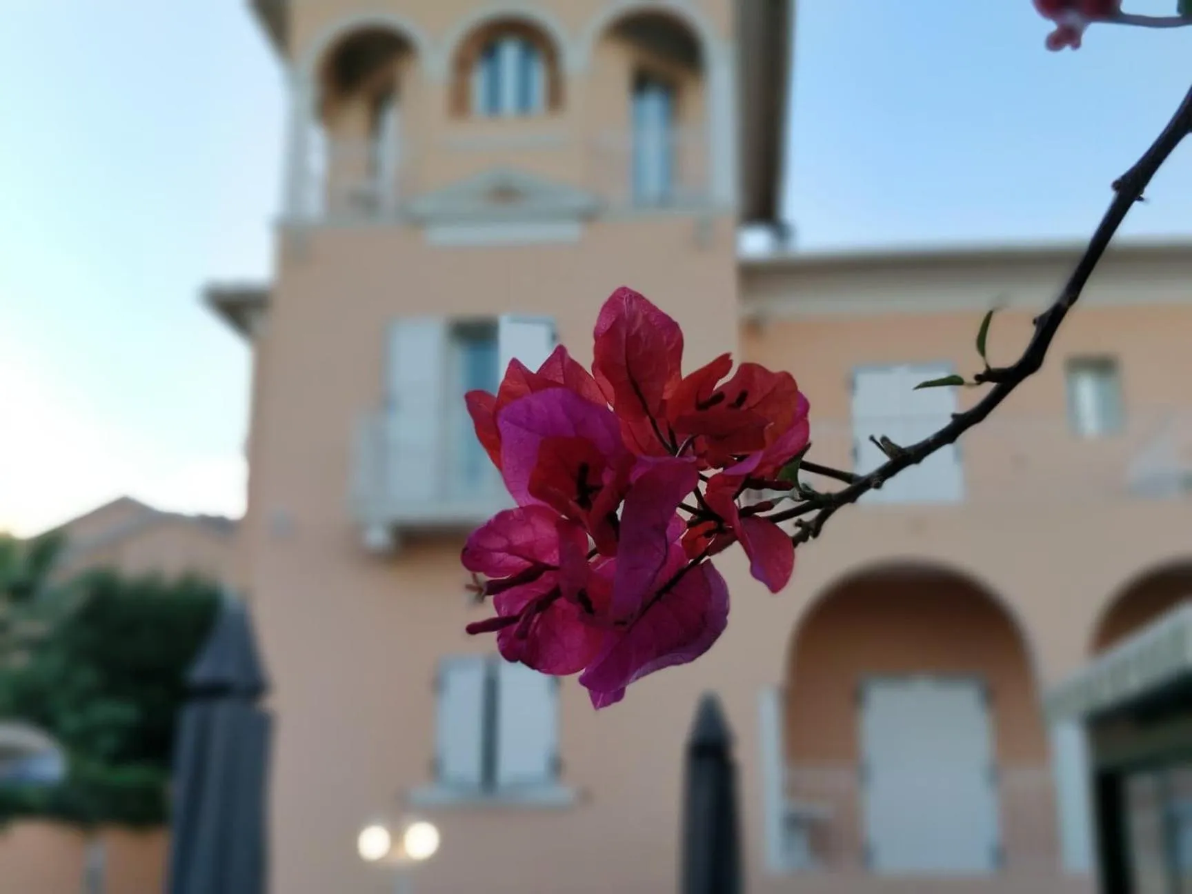 Property building in Hotel et Appartements Reine D'Azur