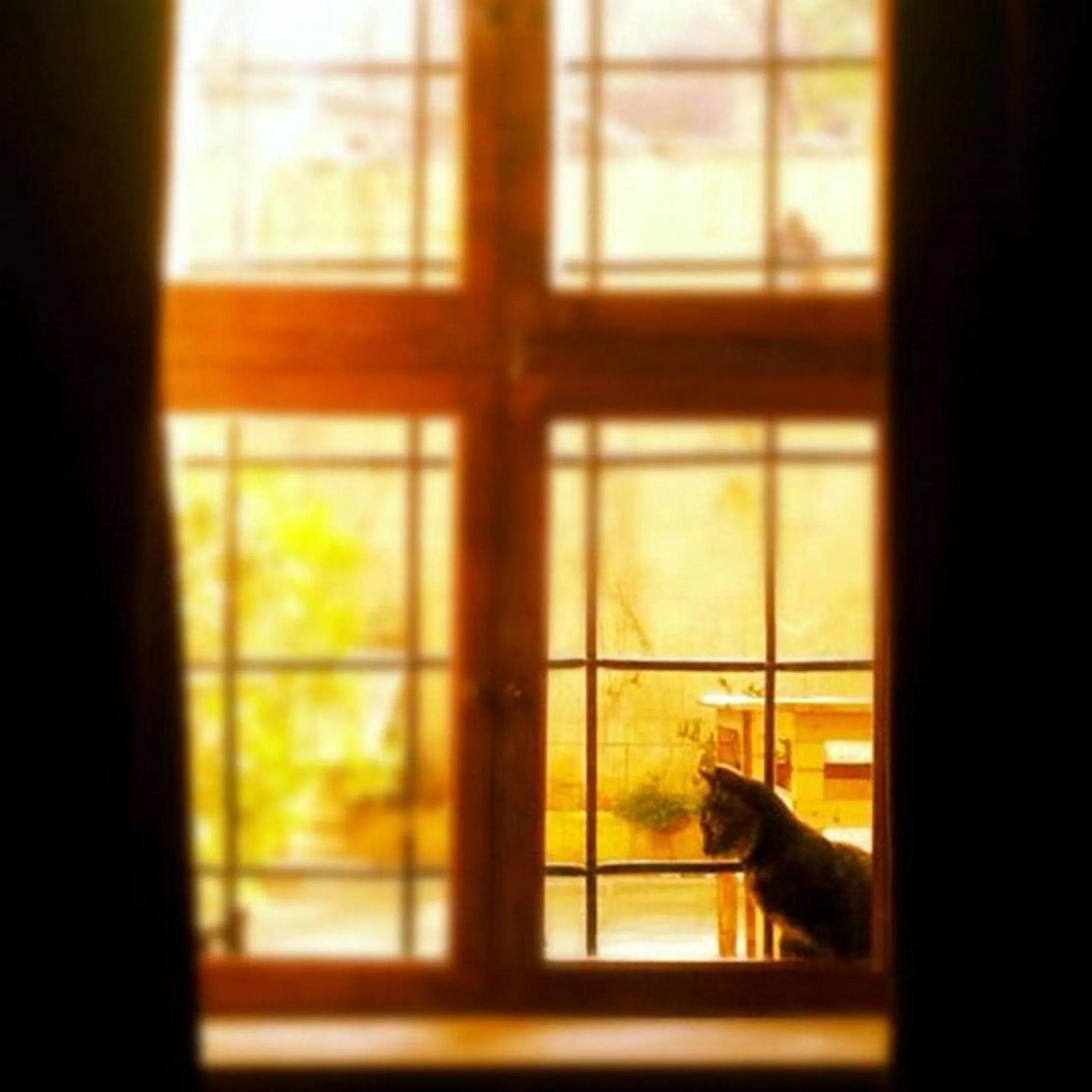 Other in Ali Bey Konagi