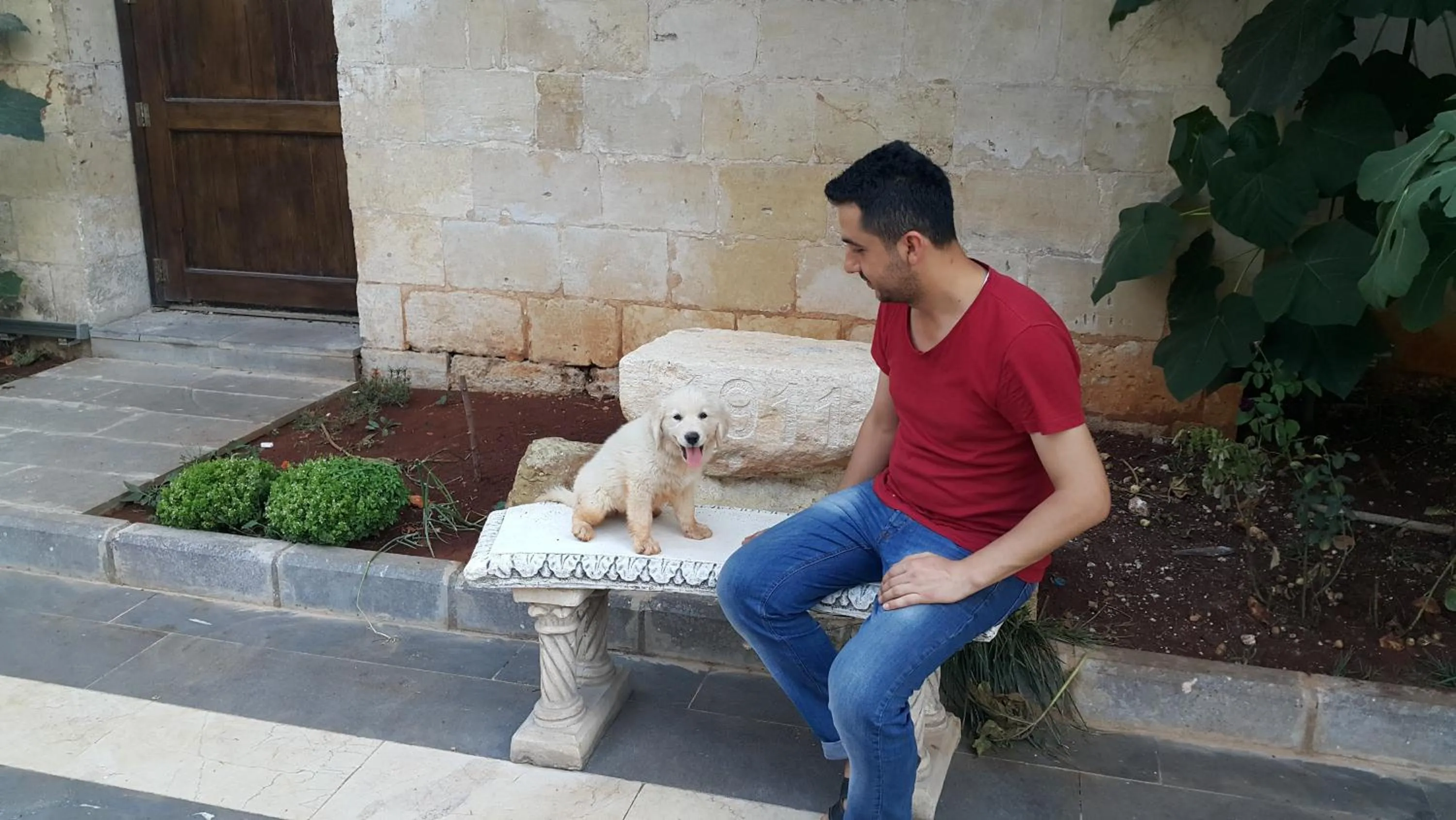 Pets in Ali Bey Konagi