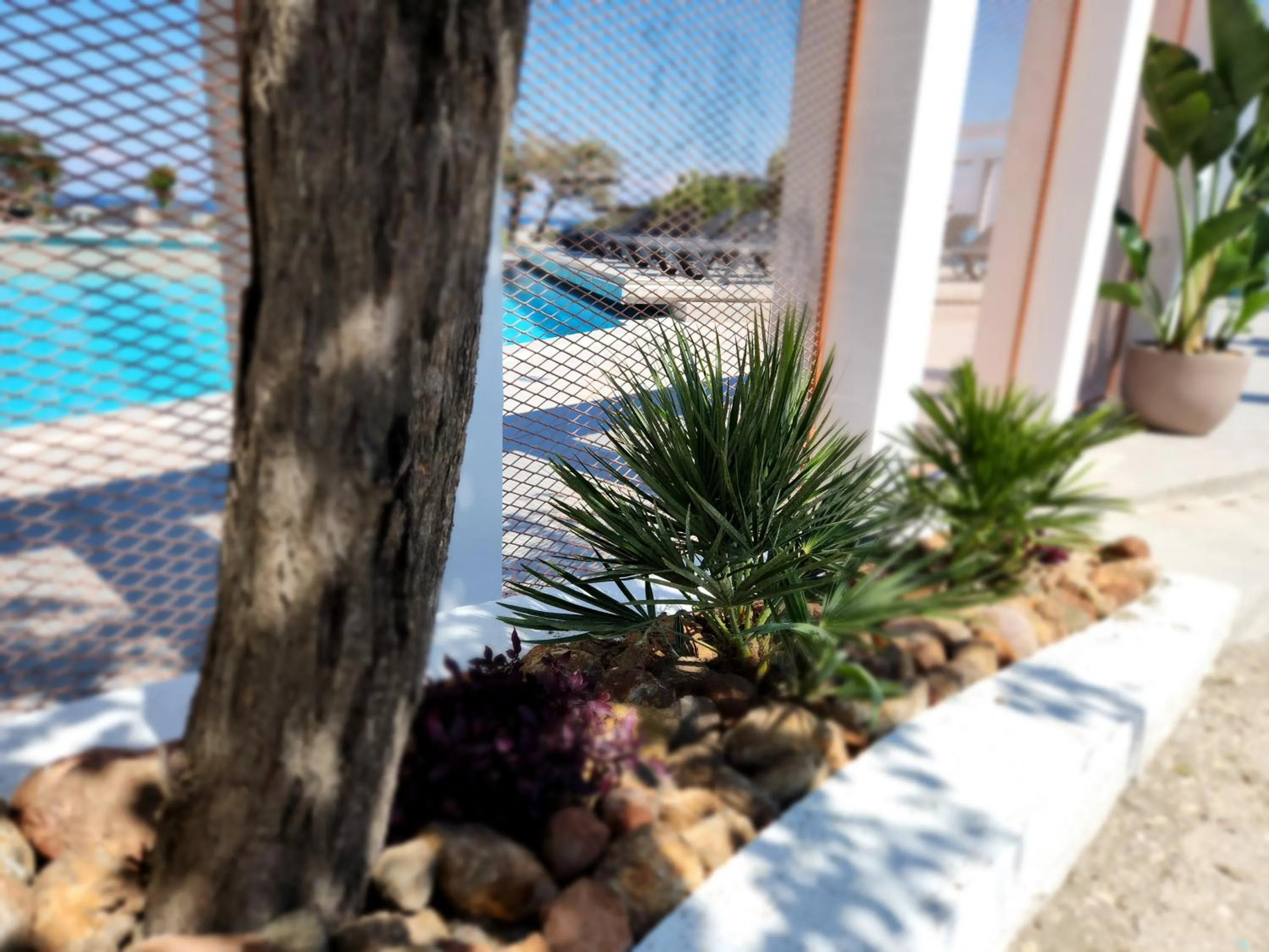 Property building in Hillside Studios & Apartments