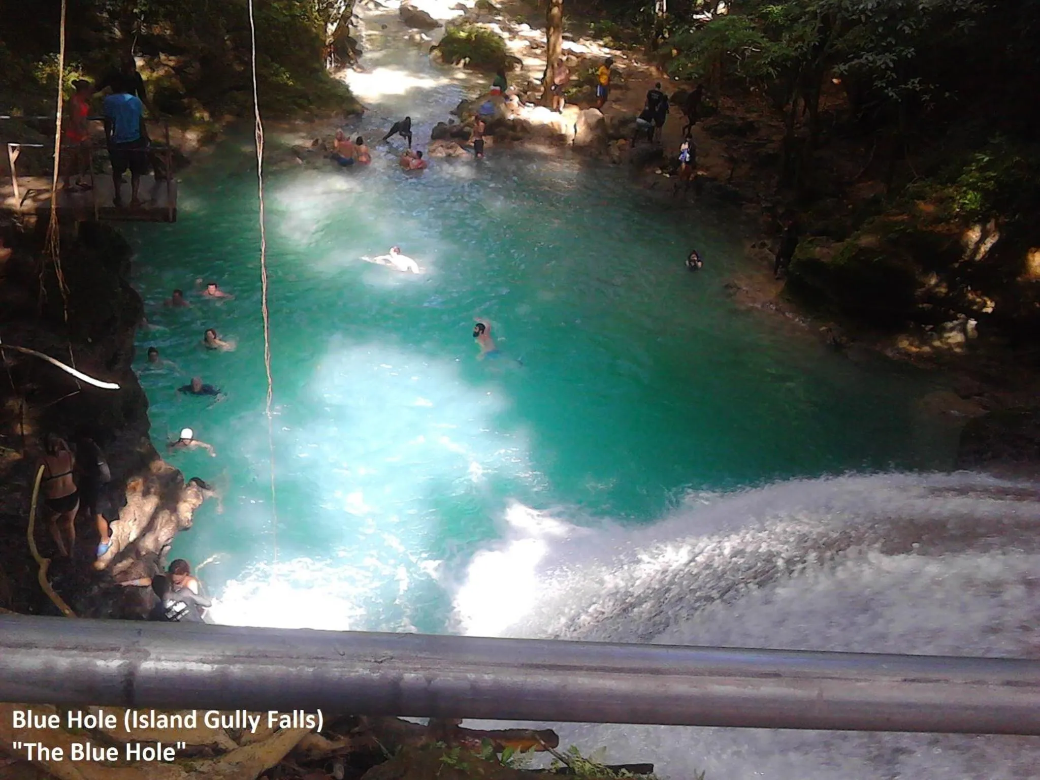 Natural landscape in Sea Shell Palms, Ocho Rios