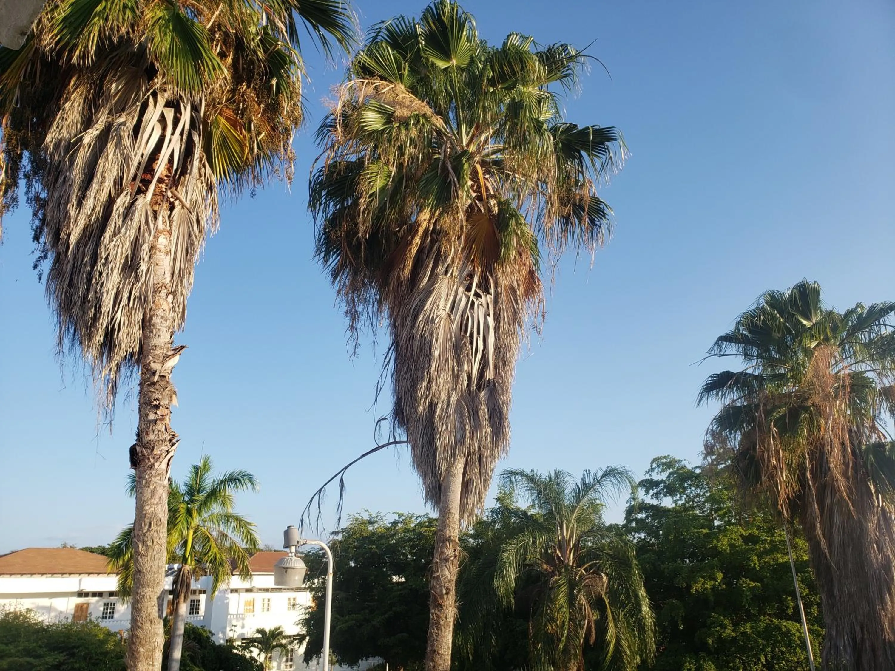 View (from property/room) in Sea Shell Palms, Ocho Rios